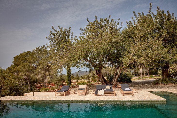 Poolside lounge chairs with cushions and towels on a stone patio, shaded by large trees with green foliage, overlooking a swimming pool and distant landscape.