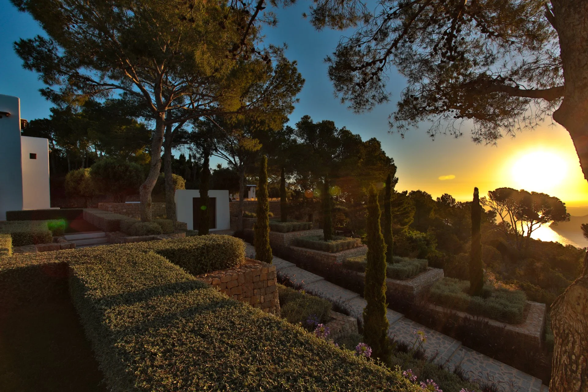 Sunset over a landscape with tall trees, bushes, and white buildings on a hillside.