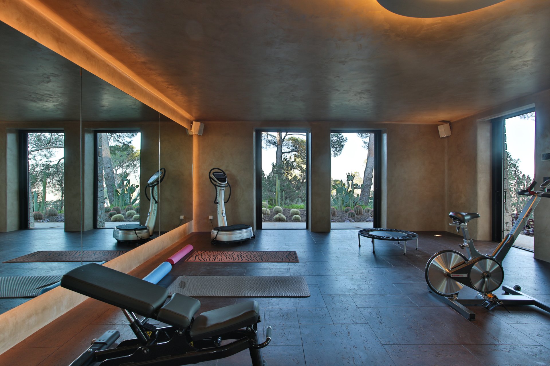 An indoor gym with large windows showing desert landscape with cacti and trees, exercise equipment including stationary bikes, a trampoline, a yoga mat, and a massage table, with a mirror reflecting part of the room.