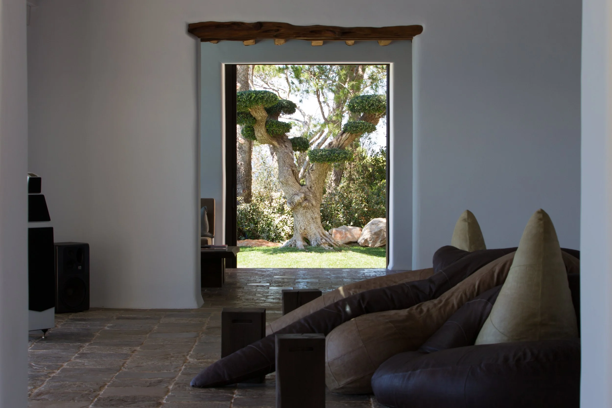 Living room with a view of a large, twisted tree outside through an open doorway.