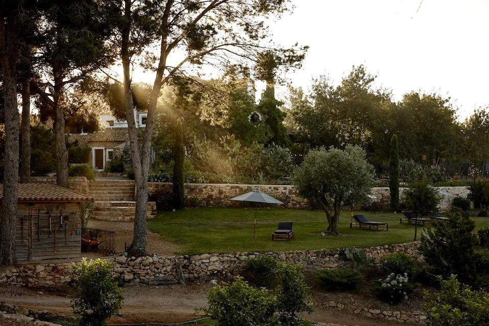 A serene outdoor garden scene at sunset with trees, lounge chairs, a stone wall, and a house in the background.