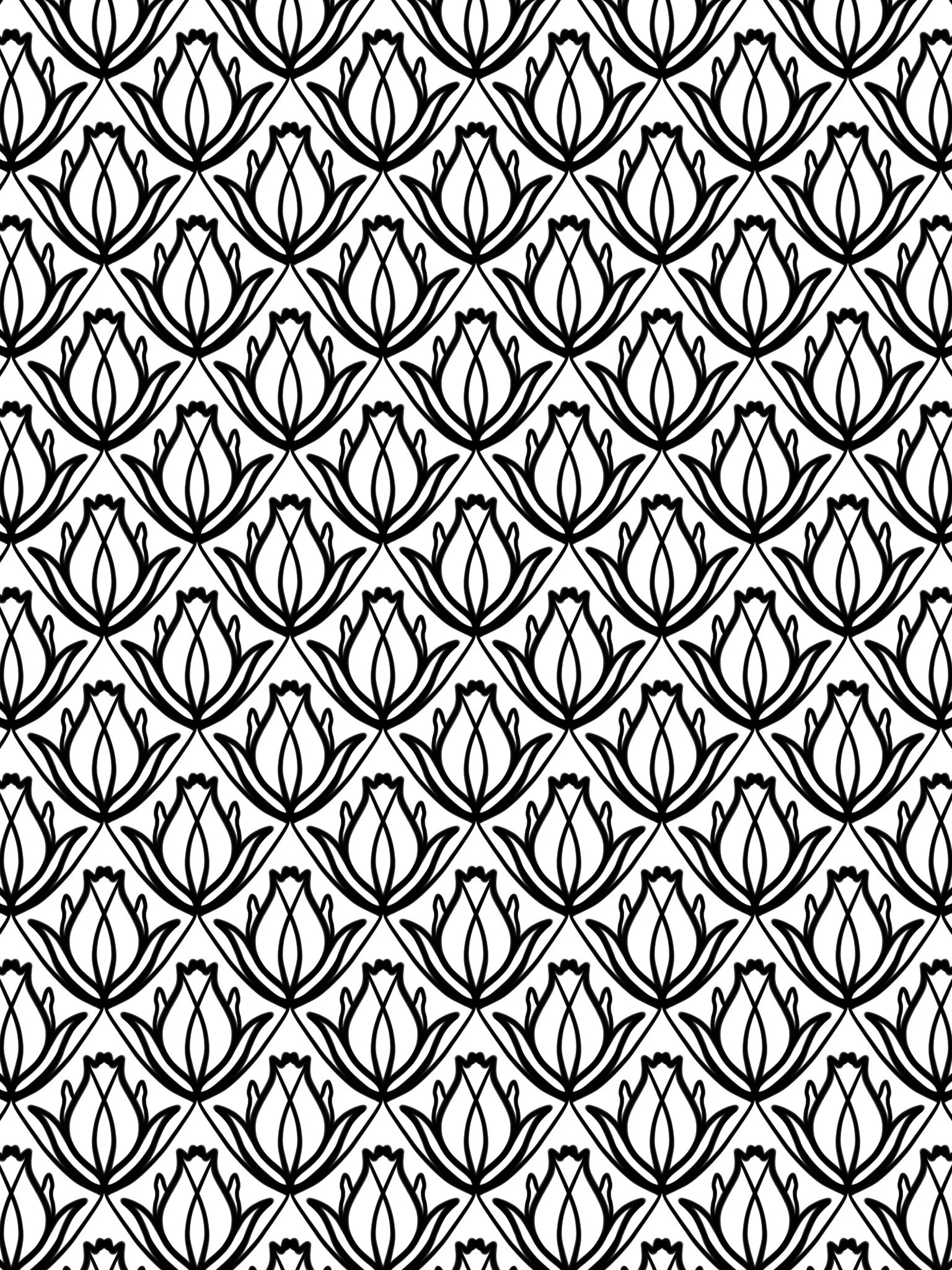amaziograph_DD41CF88-DDE4-4C43-AFF7-3D09F49D1164.amaziograph.jpg