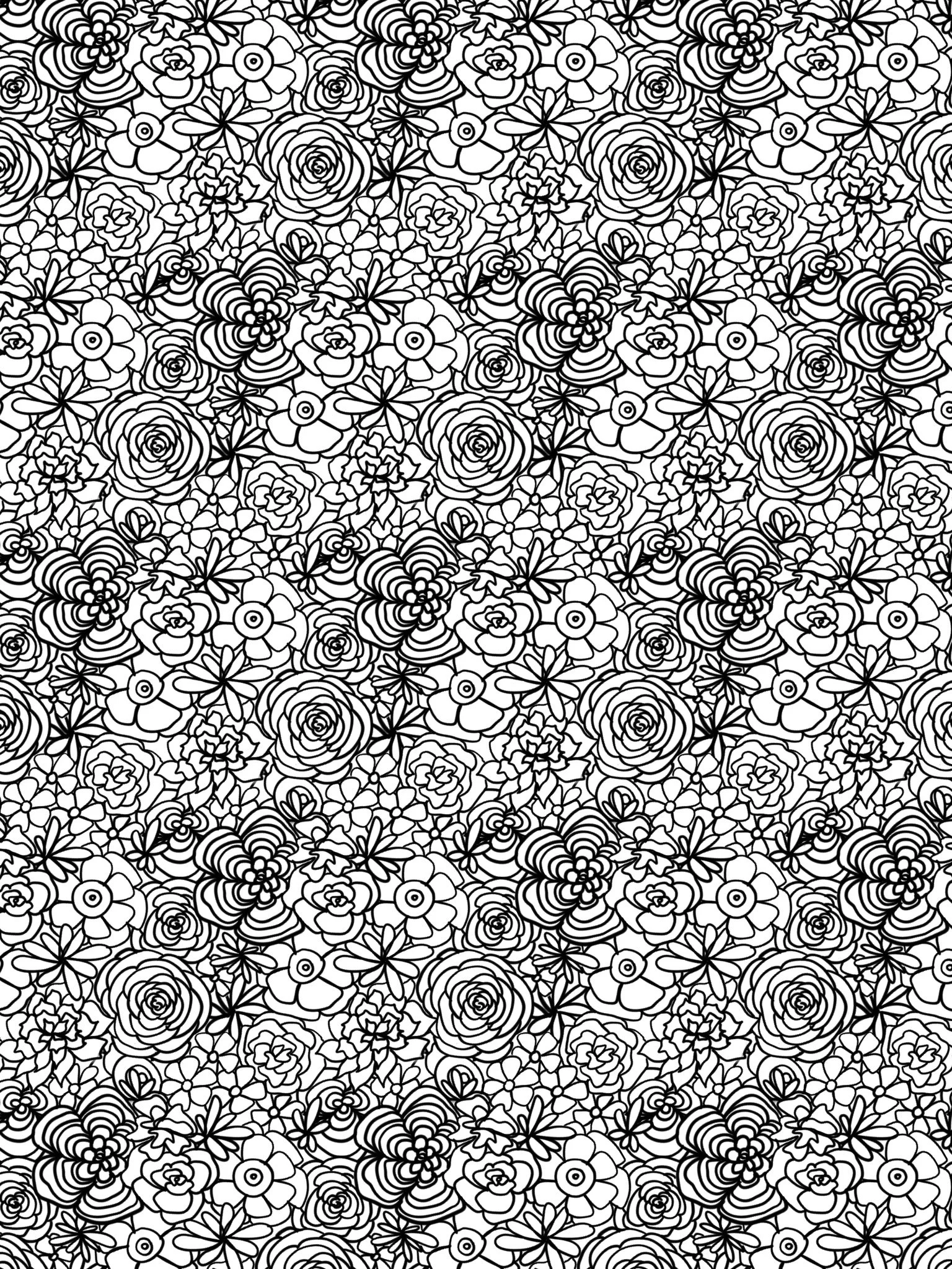 amaziograph_CBA2A404-BD33-493F-9BD1-D13EFAE353E6.amaziograph.jpg