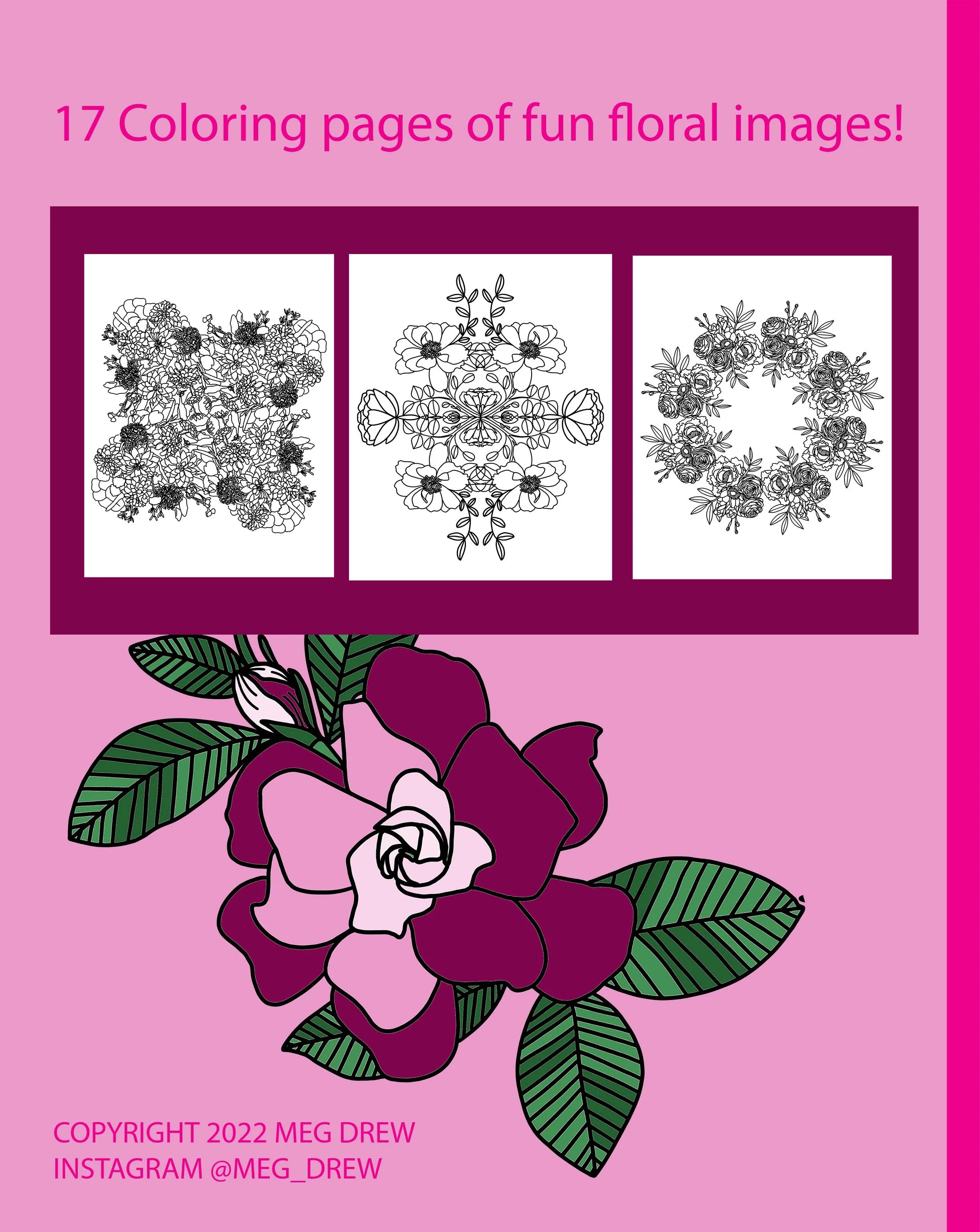 back cover.jpg