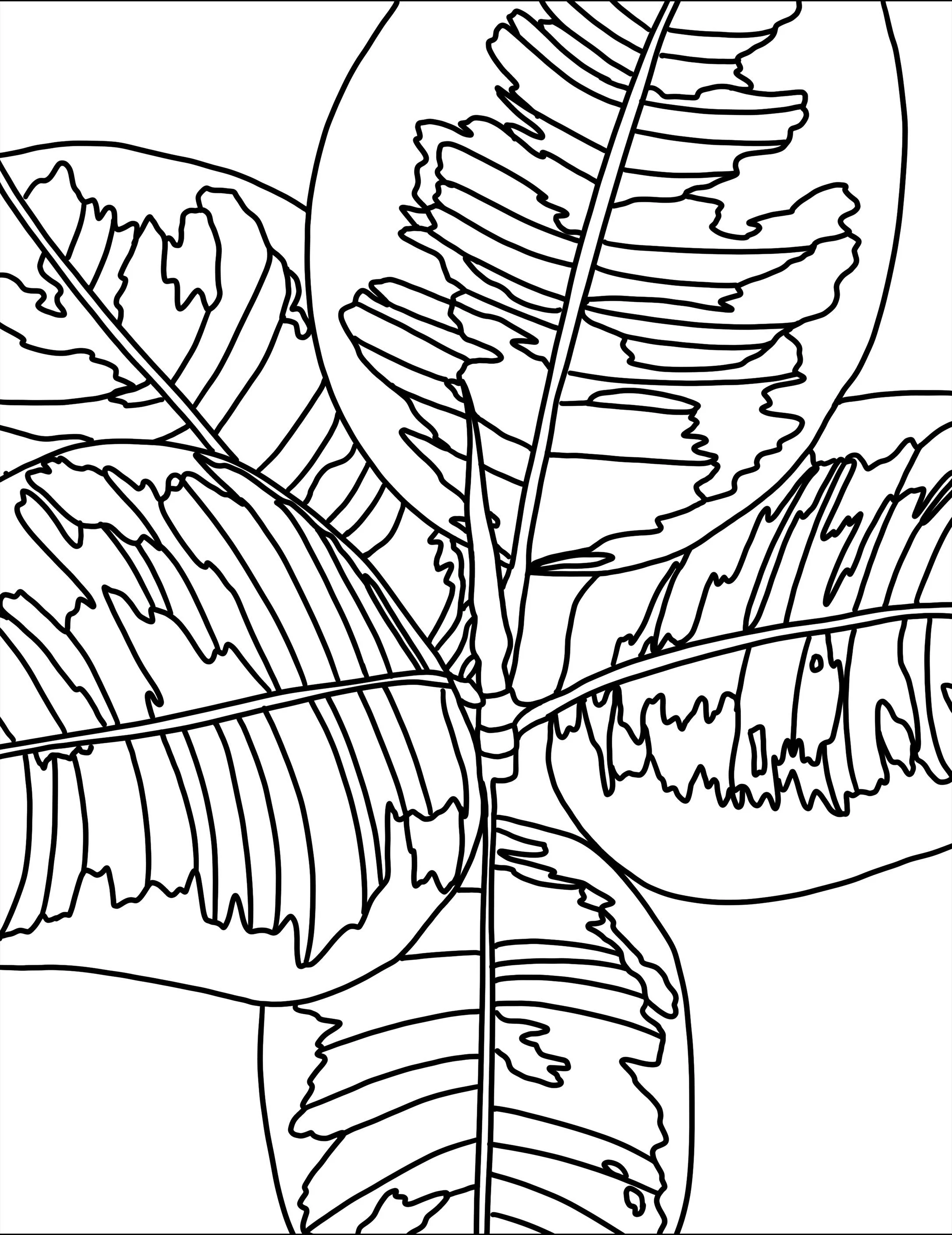 Page 21.jpg