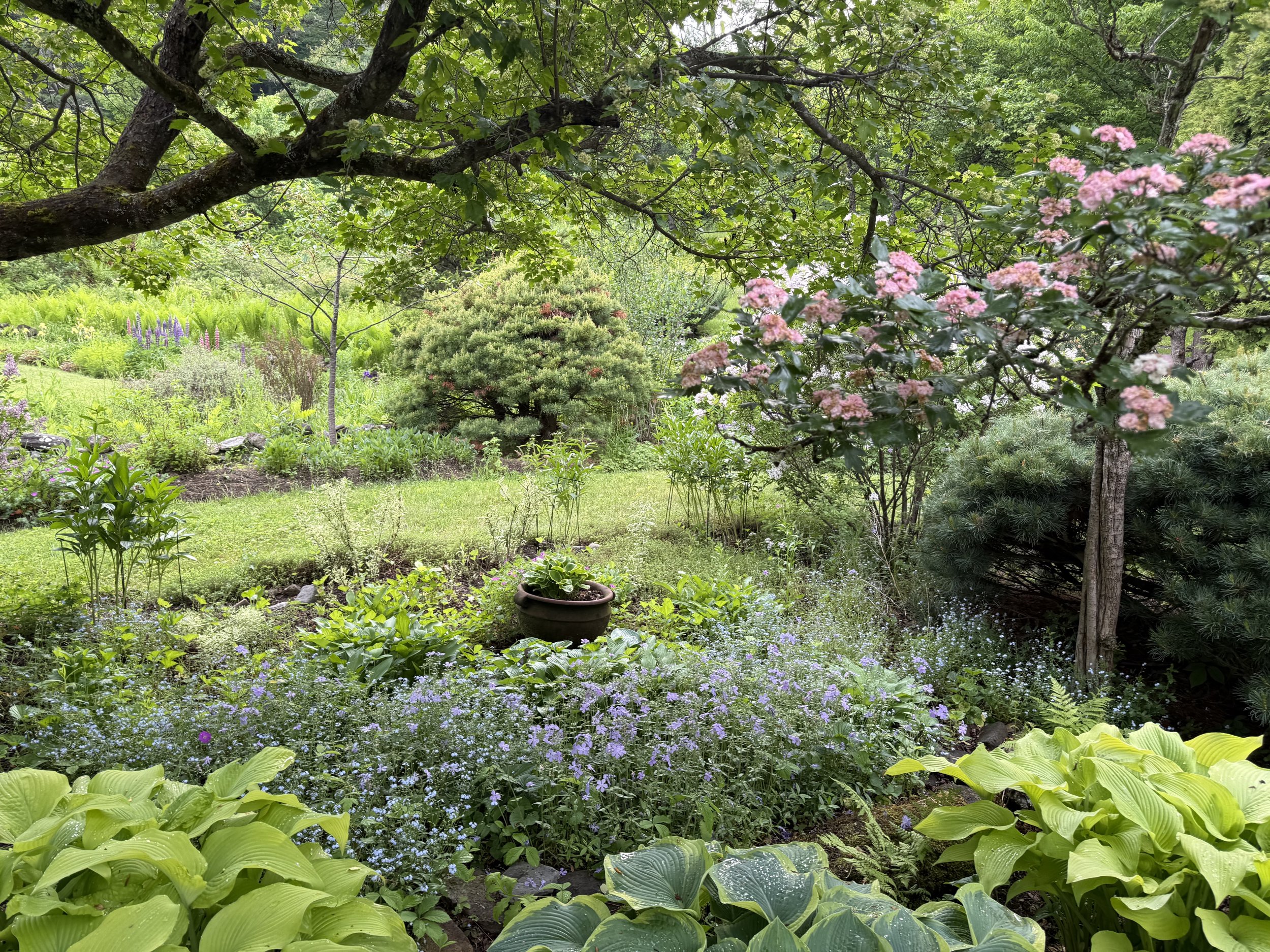 IMG_3148 (1).jpeg