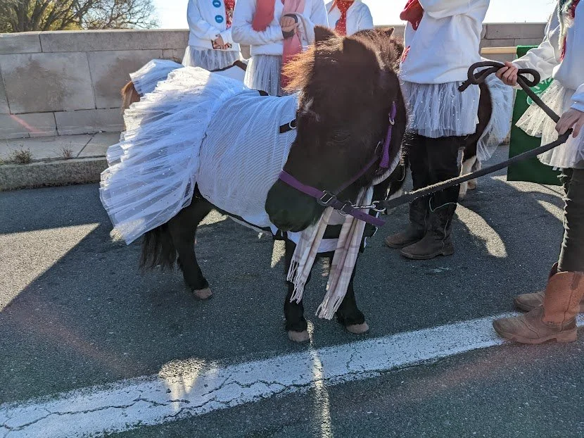 Harrisburg Holiday Parade 11-19-2022