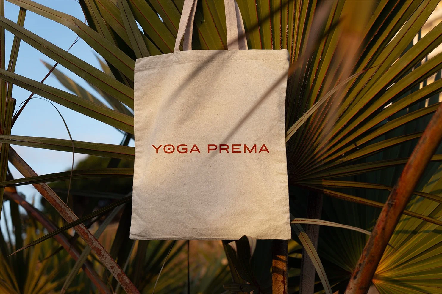 Bag v4.jpg