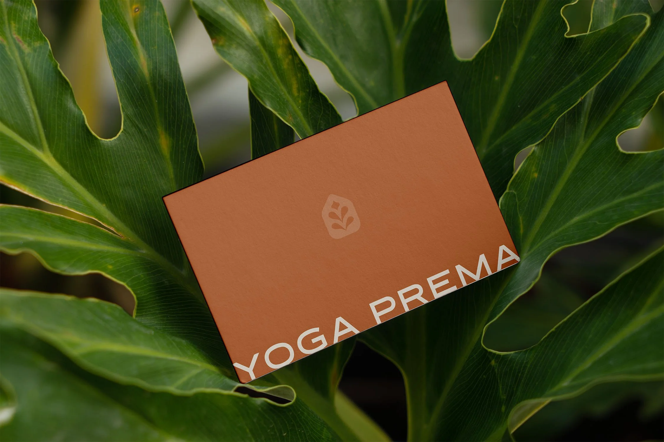 Business Card V4.jpg