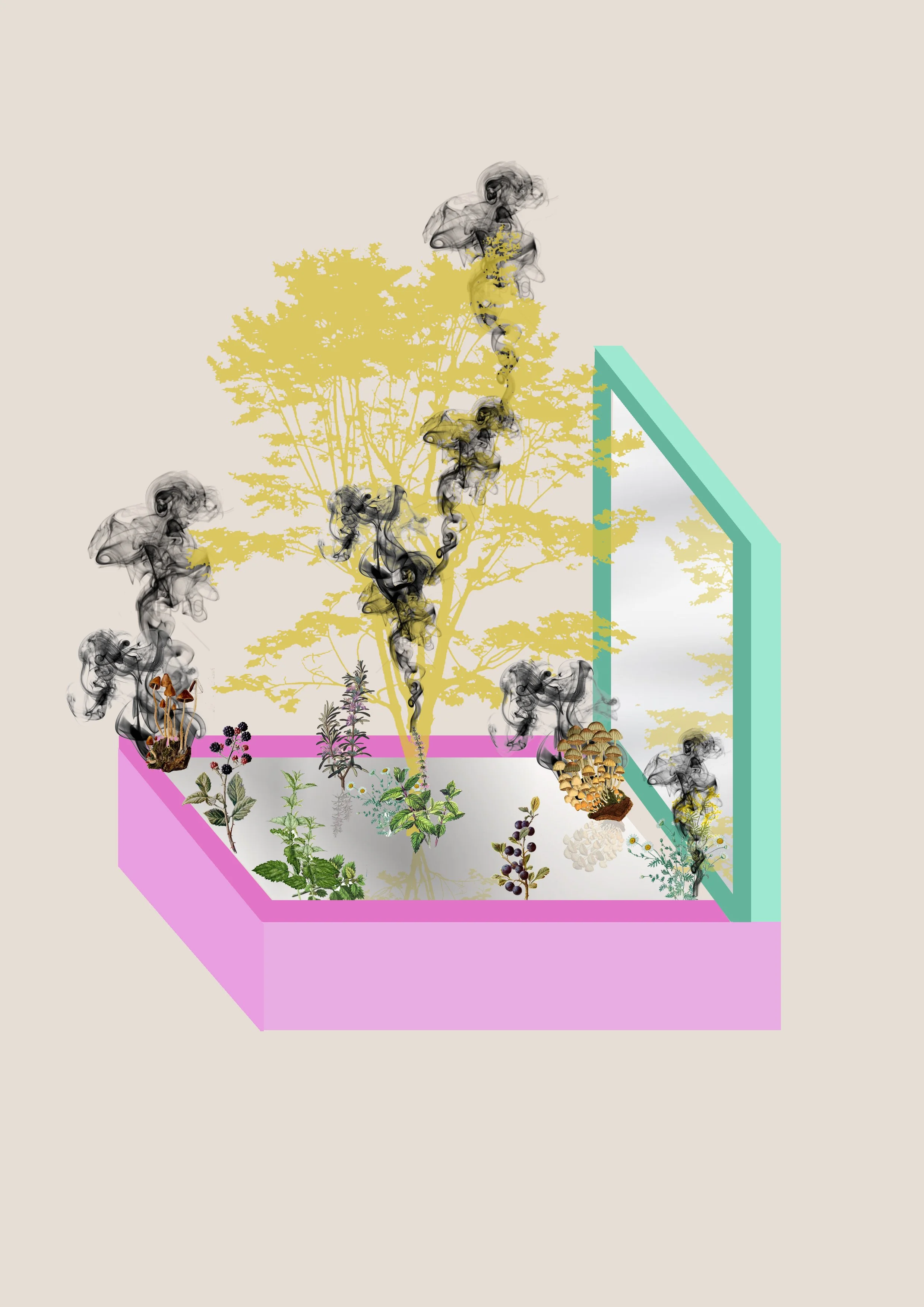 Gingko black smoke.jpg