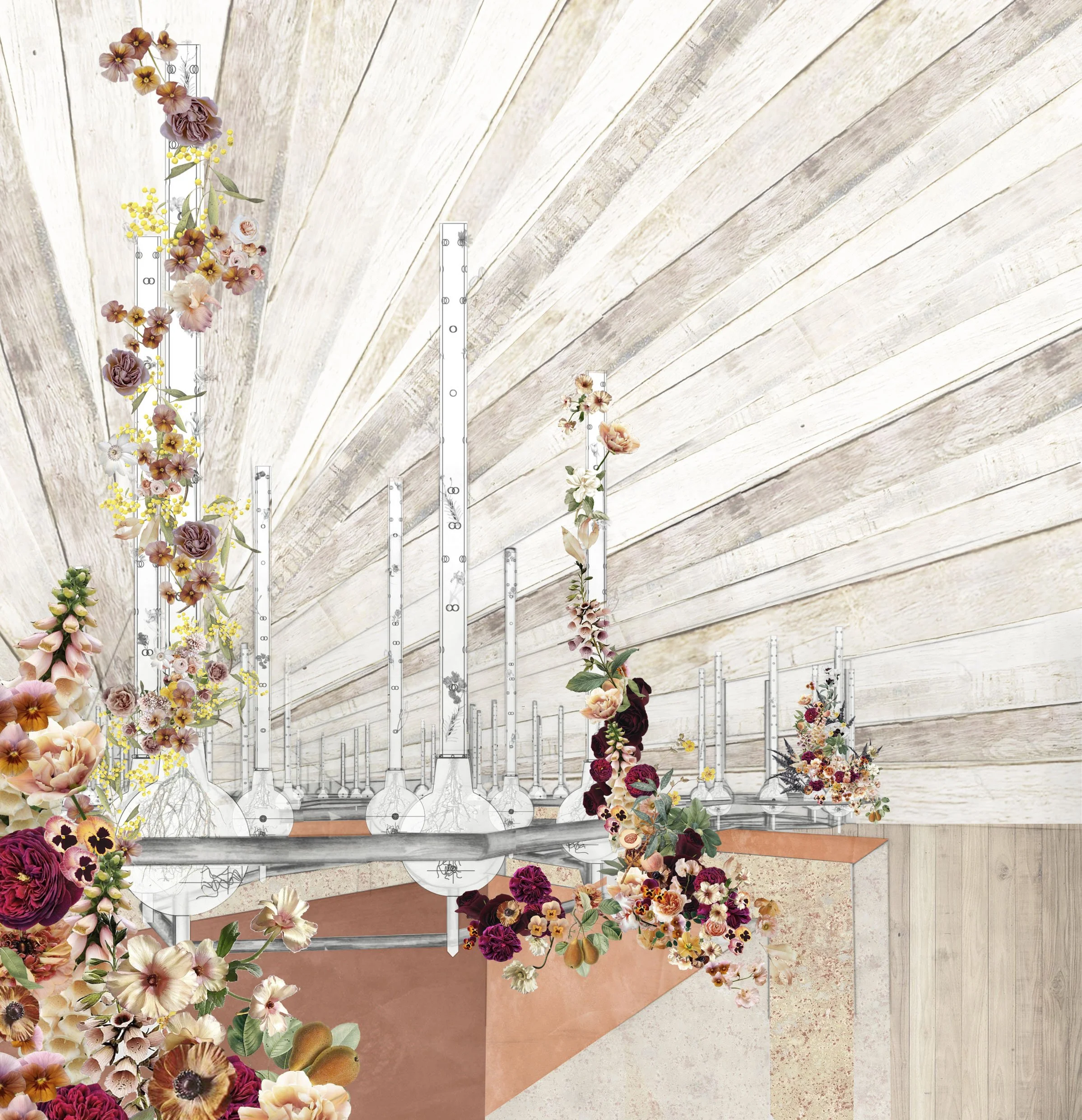 perspective edited.jpg