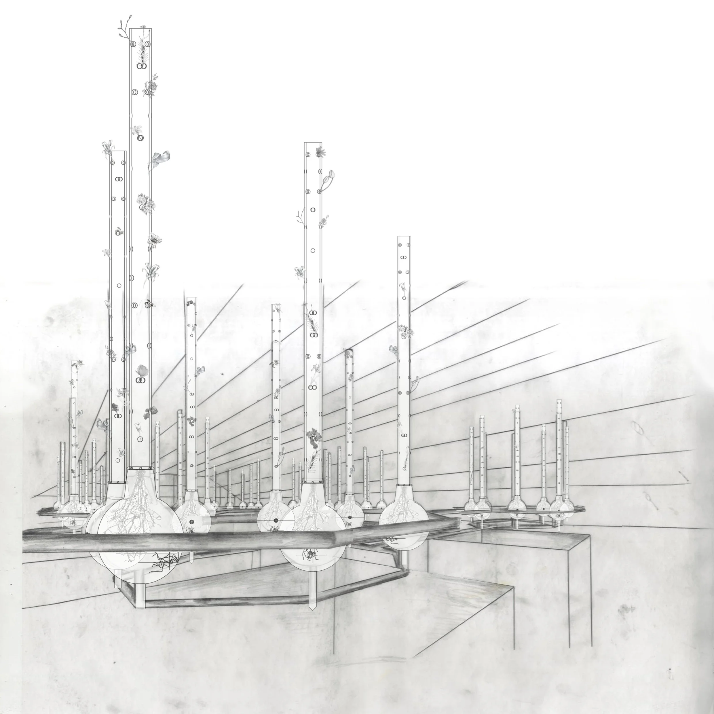 perspective final.jpg