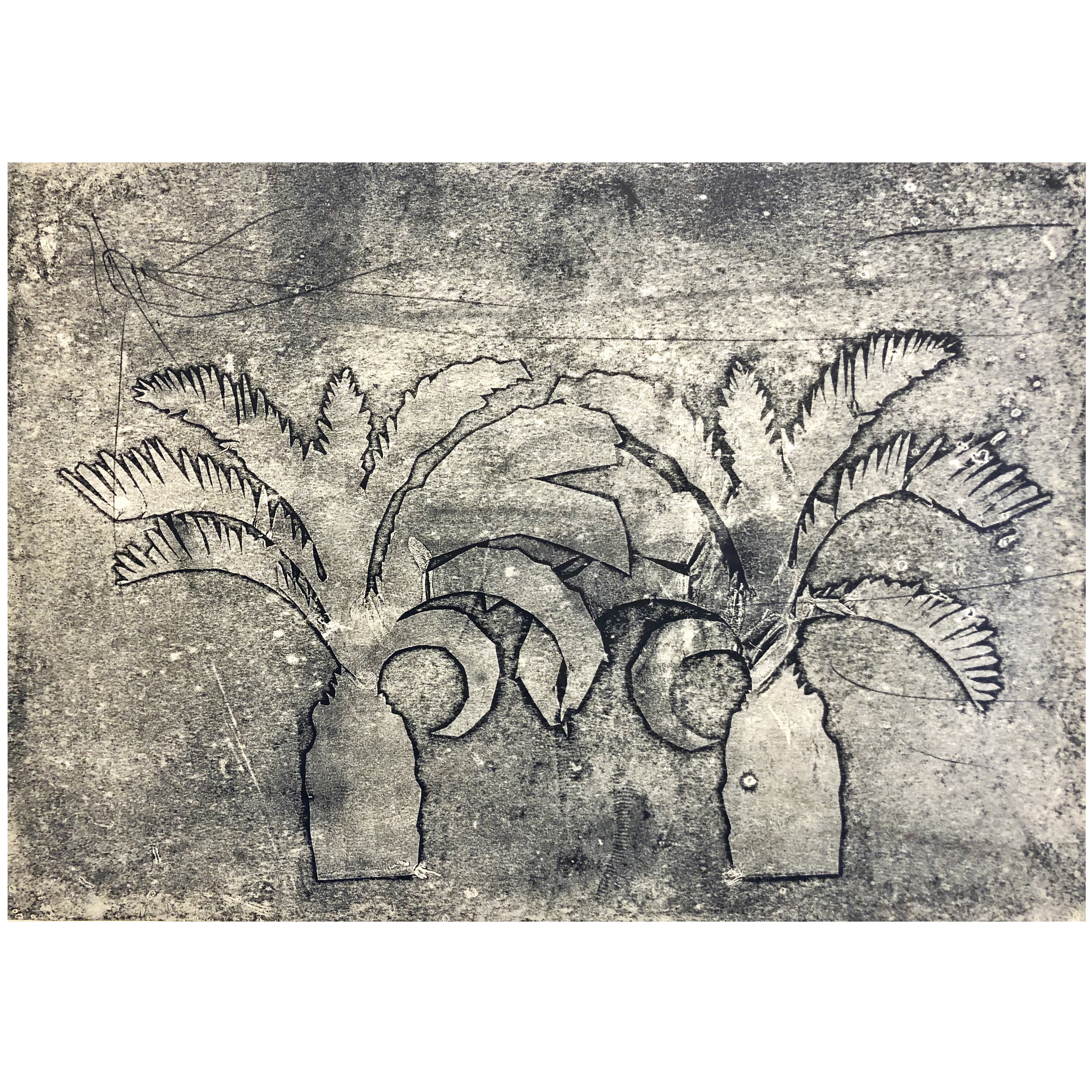 Mono Palms