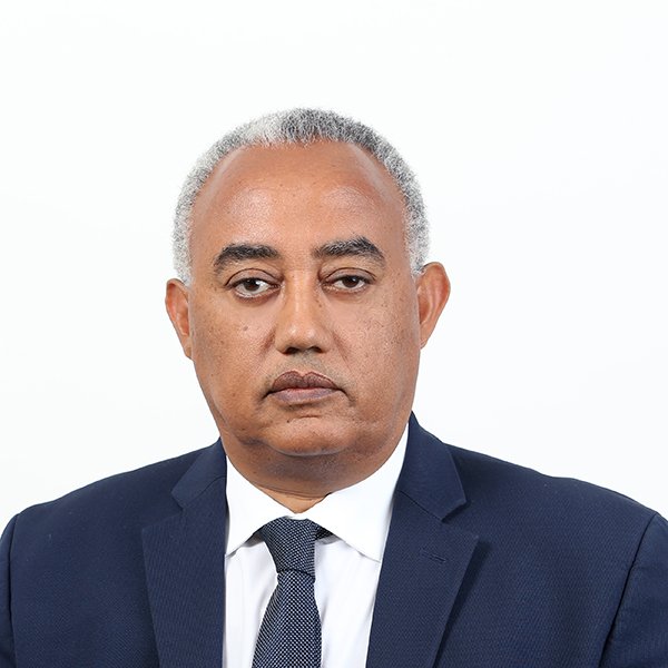 Minelik Alemu Getahun