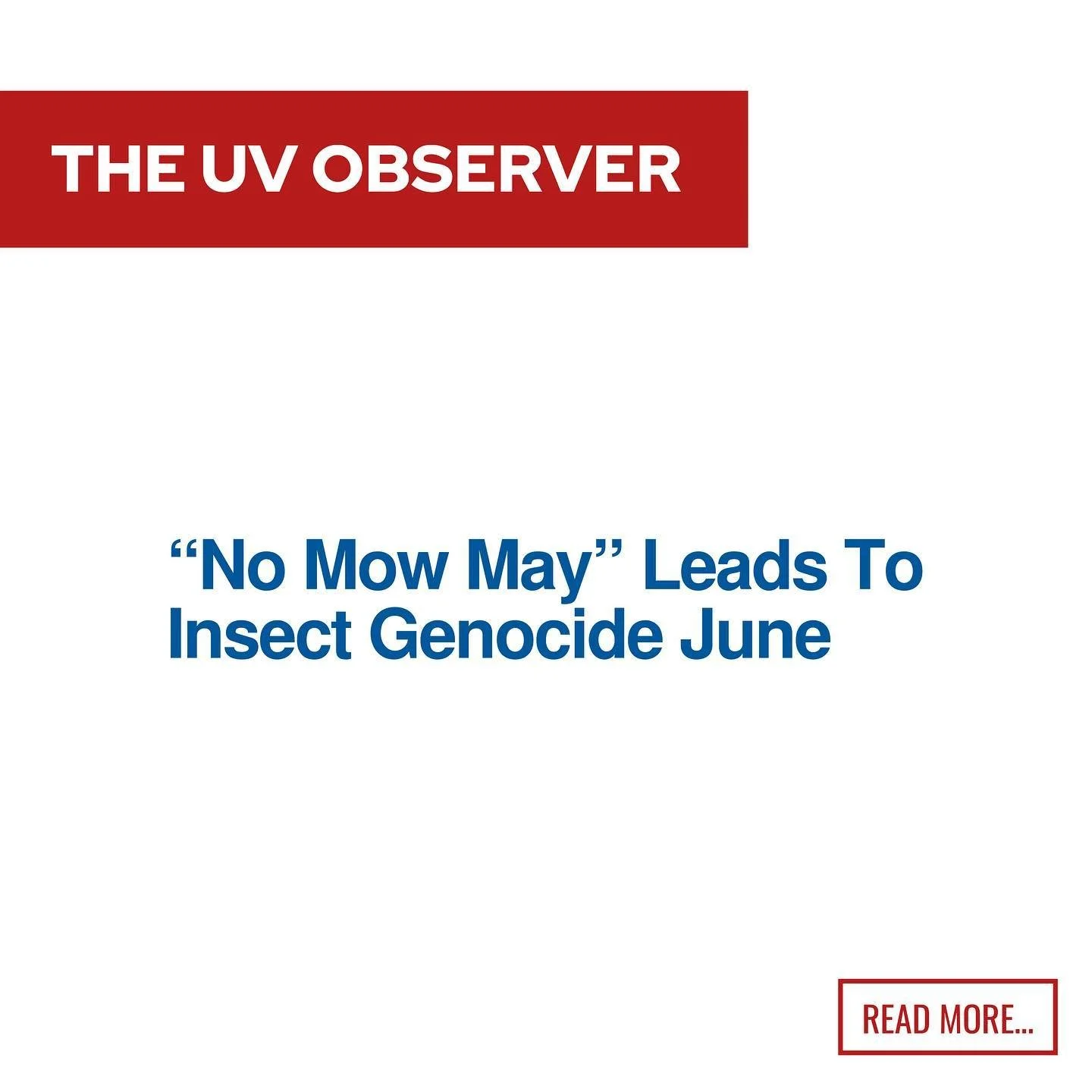 “No Mow May” Leads To Insect Genocide June