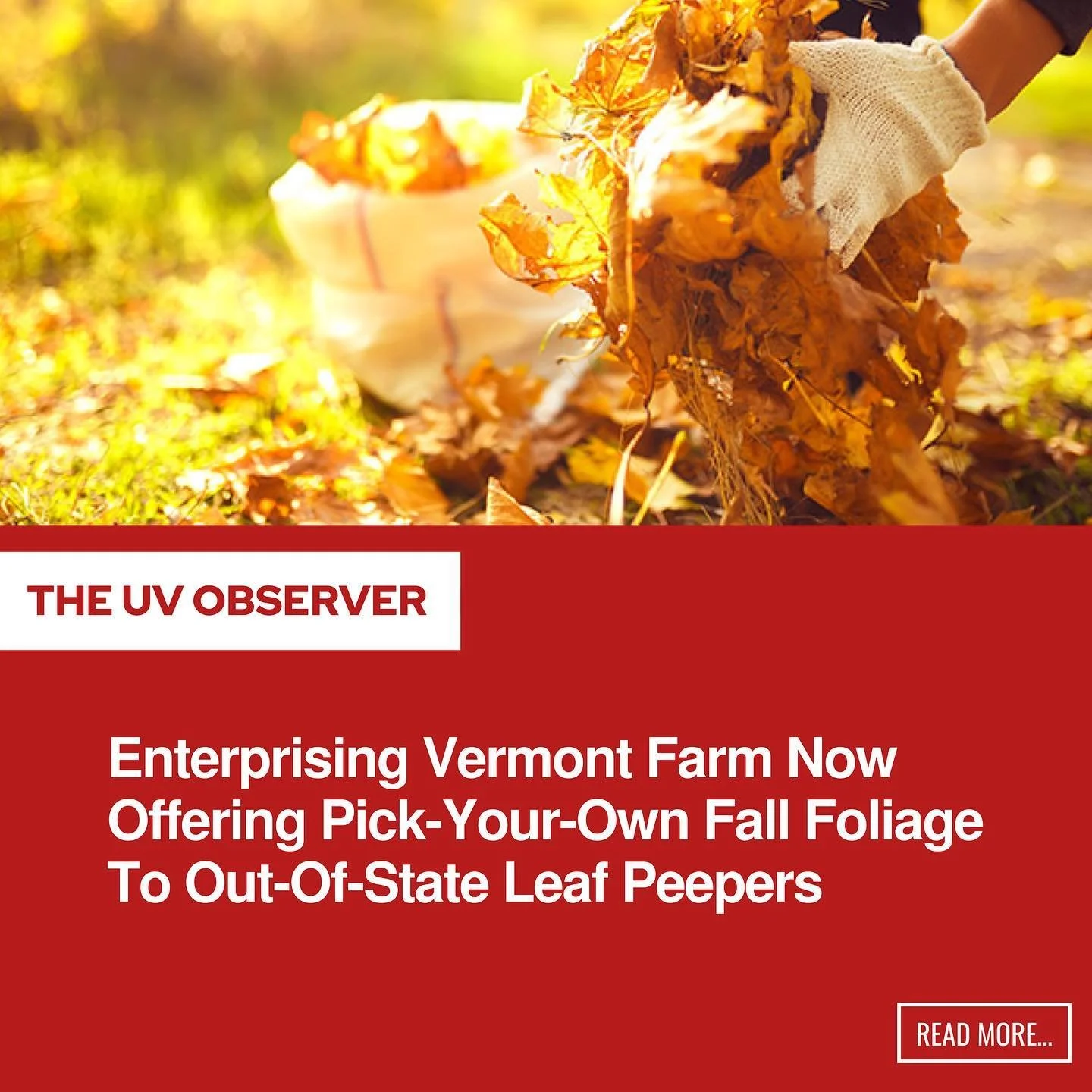 Enterprising Vermont Farm Now Offering Pick-Your-Own Fall Foliage To Out-Of-State Leaf Peepers