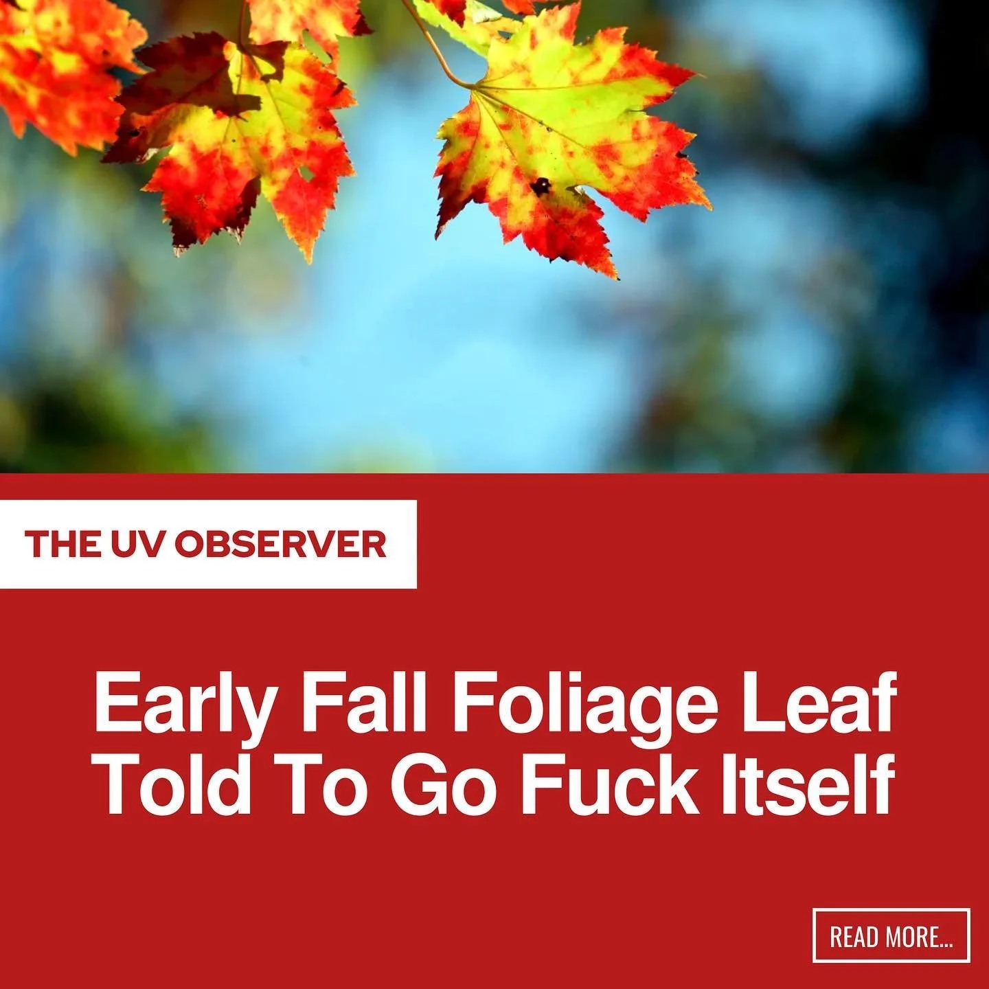Early Fall Foliage Leaf Told To Go Fuck Itself