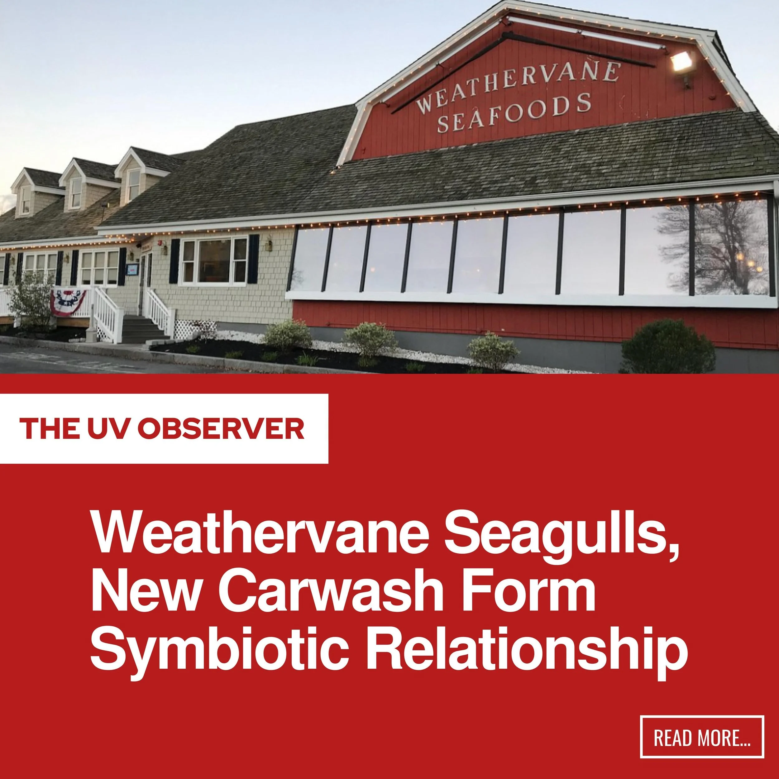Weathervane Seagulls, New Carwash Form Symbiotic Relationship