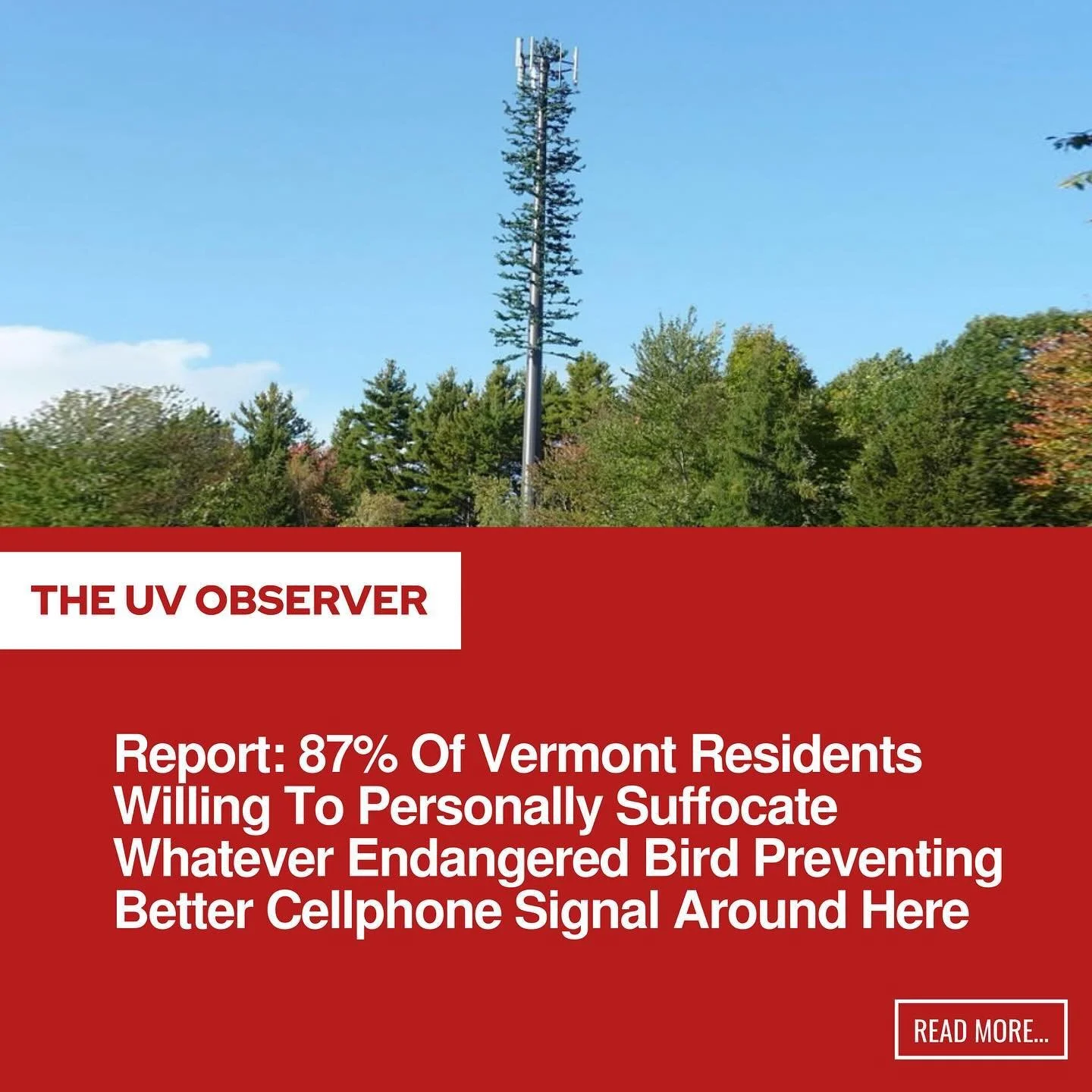 Report: 87% Of Vermont Residents Willing To Personally Suffocate Whatever Endangered Bird Preventing Better Cellphone Signal Around Here