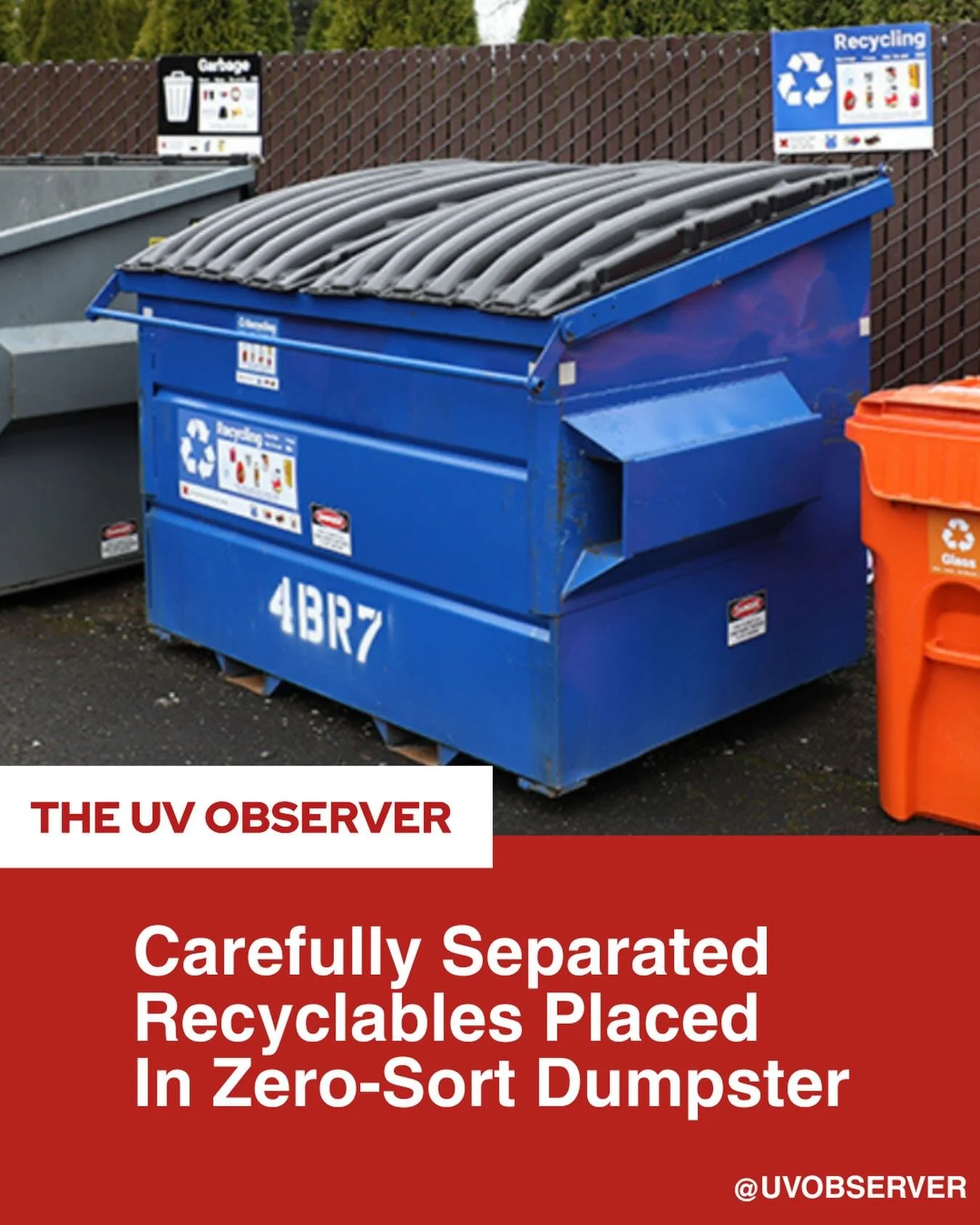 Carefully Separated Recyclables Placed In Zero-Sort Dumpster