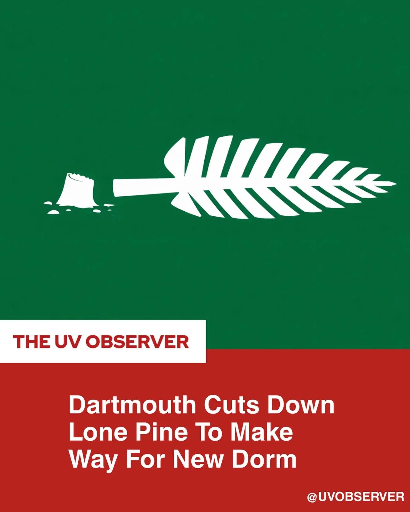 Dartmouth Cuts Down Lone Pine To Make Way For New Dorm