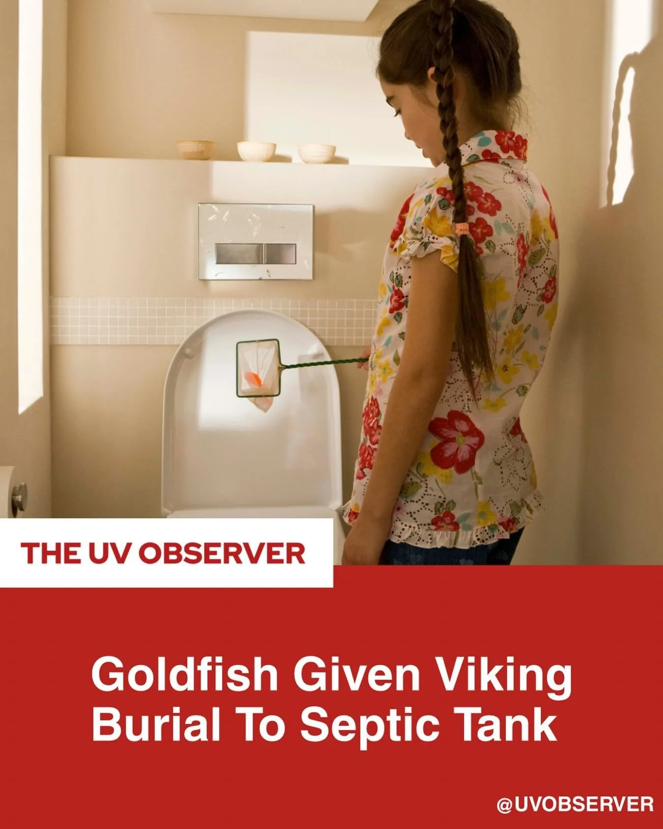 Goldfish Given Viking Burial To Septic Tank