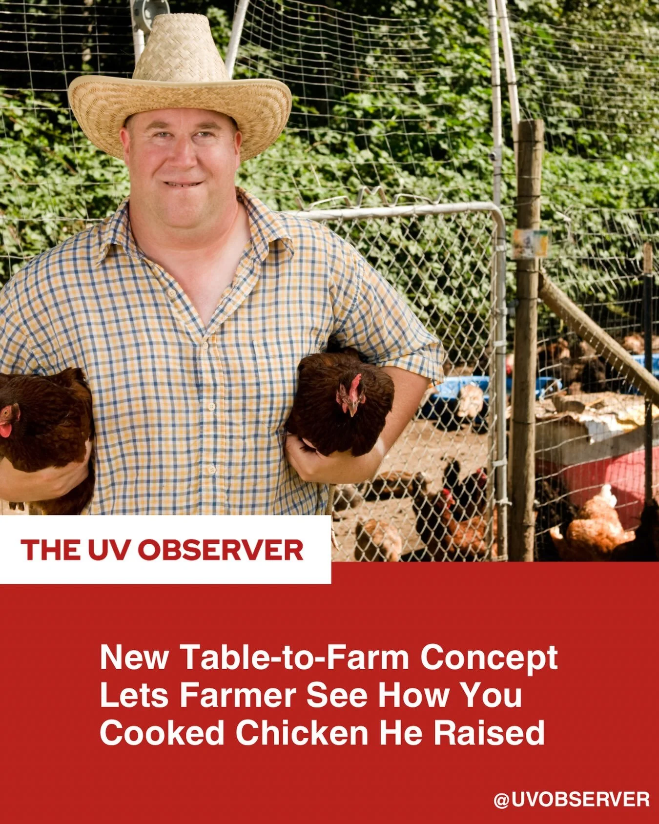 New Table-to-Farm Concept Lets Farmer See How You Cooked Chicken He Raised