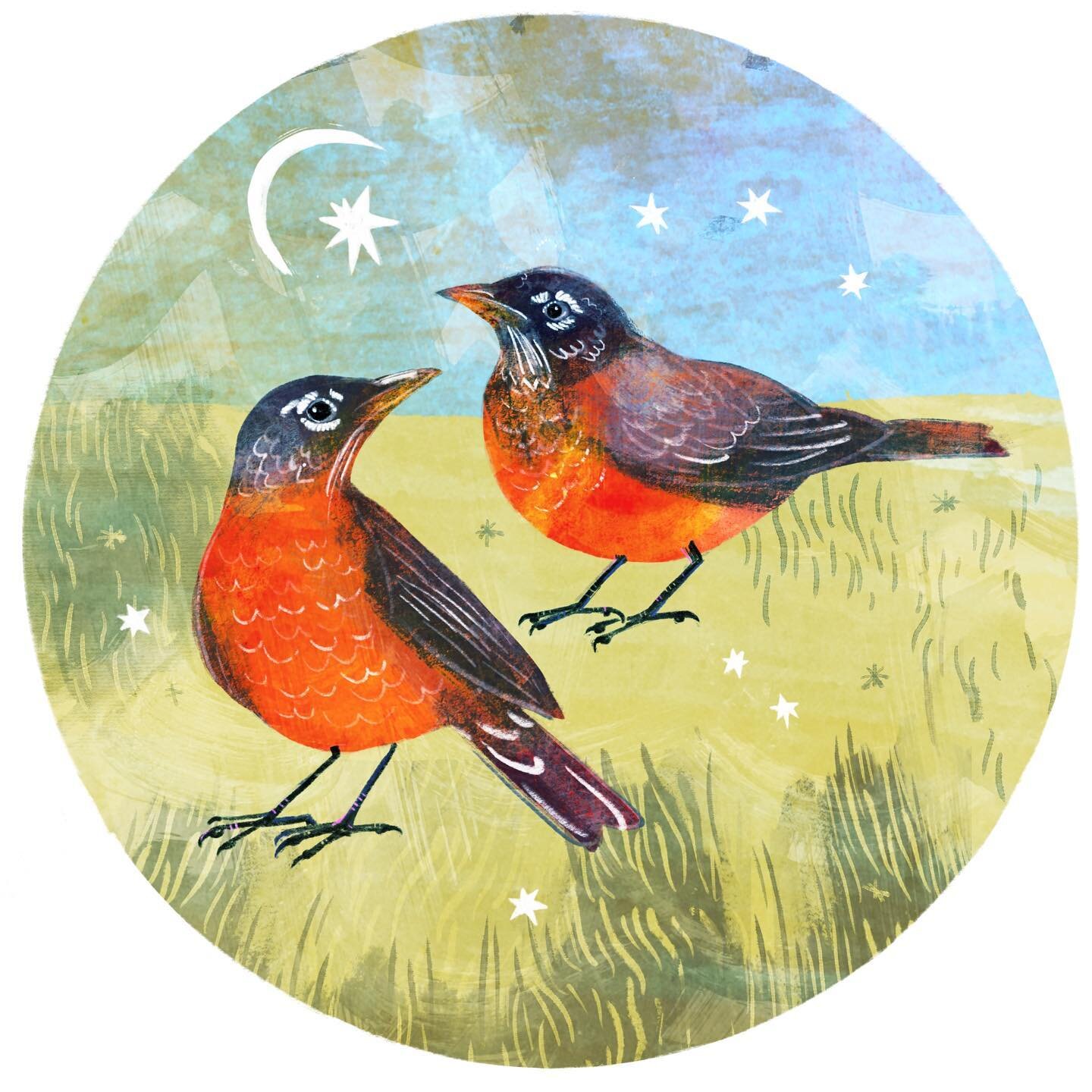 Winter seems to have returned to New England for now, but I&rsquo;ve spotted groups of robins foraging in the grass where the snow has melted. I haven&rsquo;t heard their spring songs yet, though&hellip; 🎶🎵👂 

#wildlifeart #americanrobin #animalil