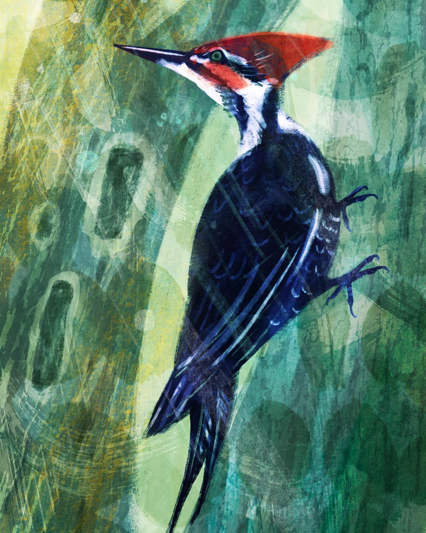 Pileated woodpecker I&rsquo;ve been working on for a while. Still working out some color options&hellip; I was trying to upload a clever reel with shifting color but it was not working 🤣 so here&rsquo;s a plain old still image :) It&rsquo;s always s