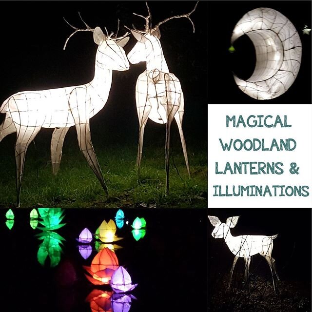 WOODLAND ILLUMINATIONS 🌟 💫 
Local Brighton community arts charity @sameskybtn build incredible woodland illuminations and are also behind Brighton&rsquo;s Burning The Clocks, a lantern parade of 1000&rsquo;s on the Winter Solstice. 
They will be li