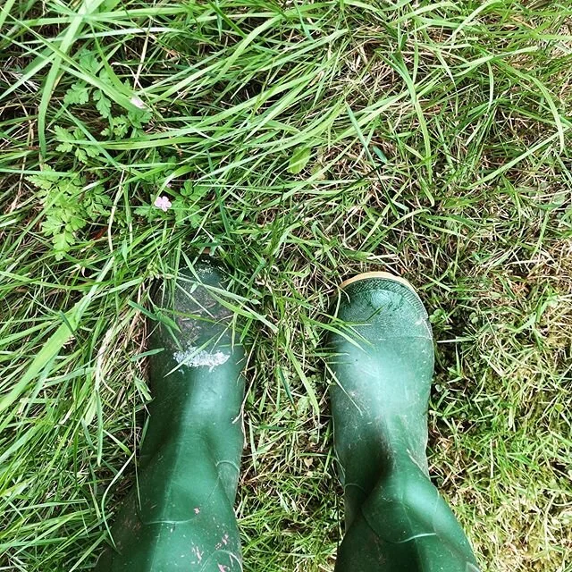 FESTIVAL VIBES ⛺️ 🎨 ☀️ ☔️ Sunday afternoon&rsquo;s at Glastonbury Festival are our fave - always such a relaxed and community vibe! 
If you&rsquo;re missing your festival fix this summer we can offer some of the best bits: open fields and nature, co