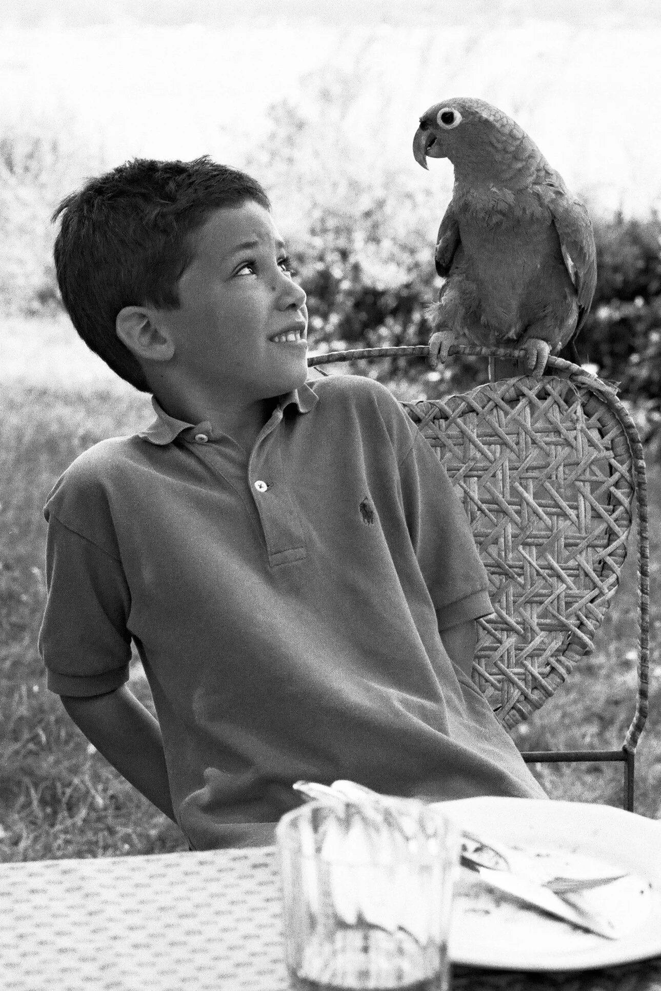 The young pirate’s parrot