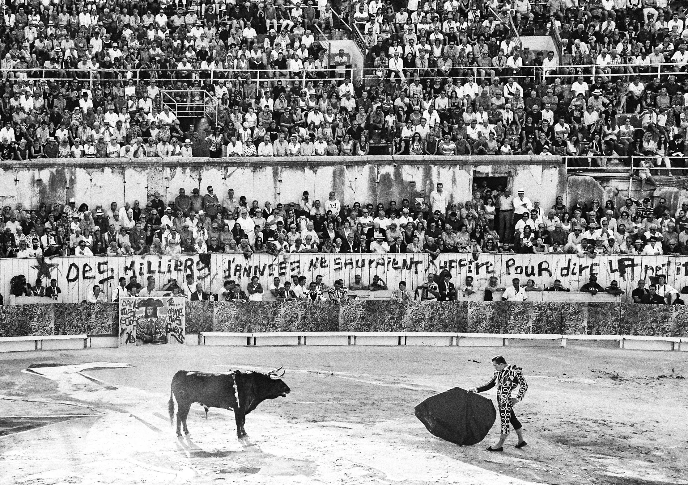 A bull’s last will