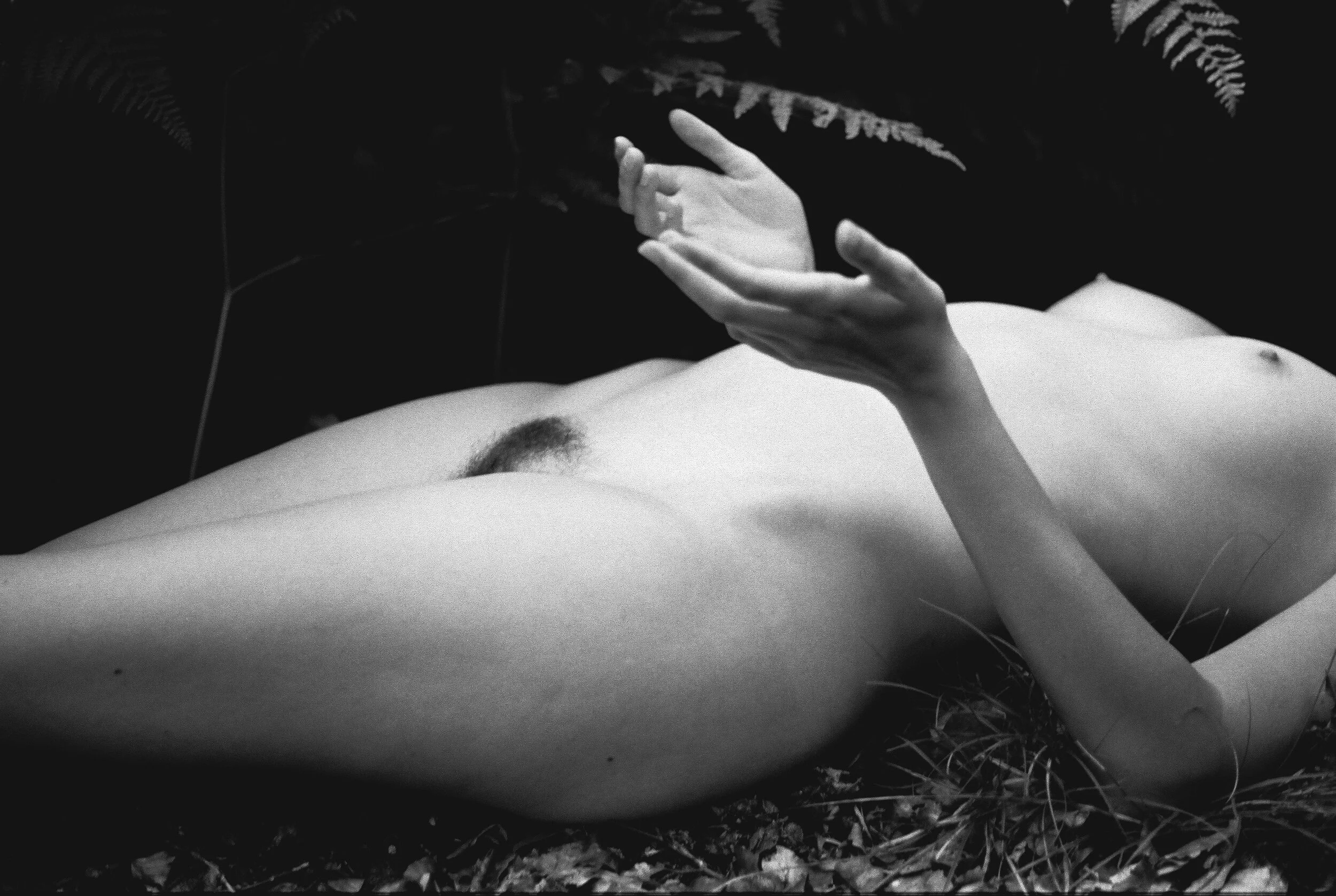 Last summer’s rays