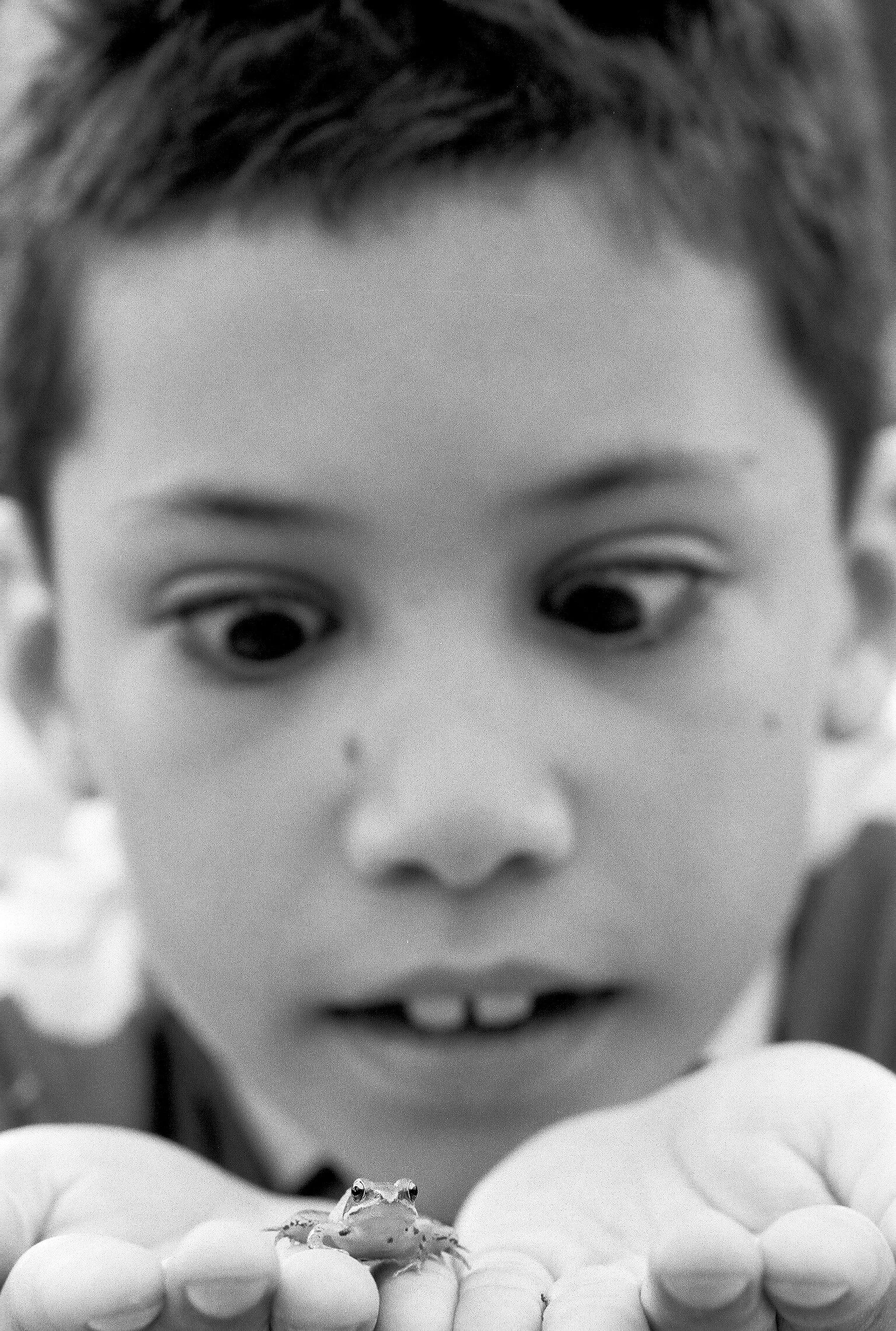 Kill this noisy shit