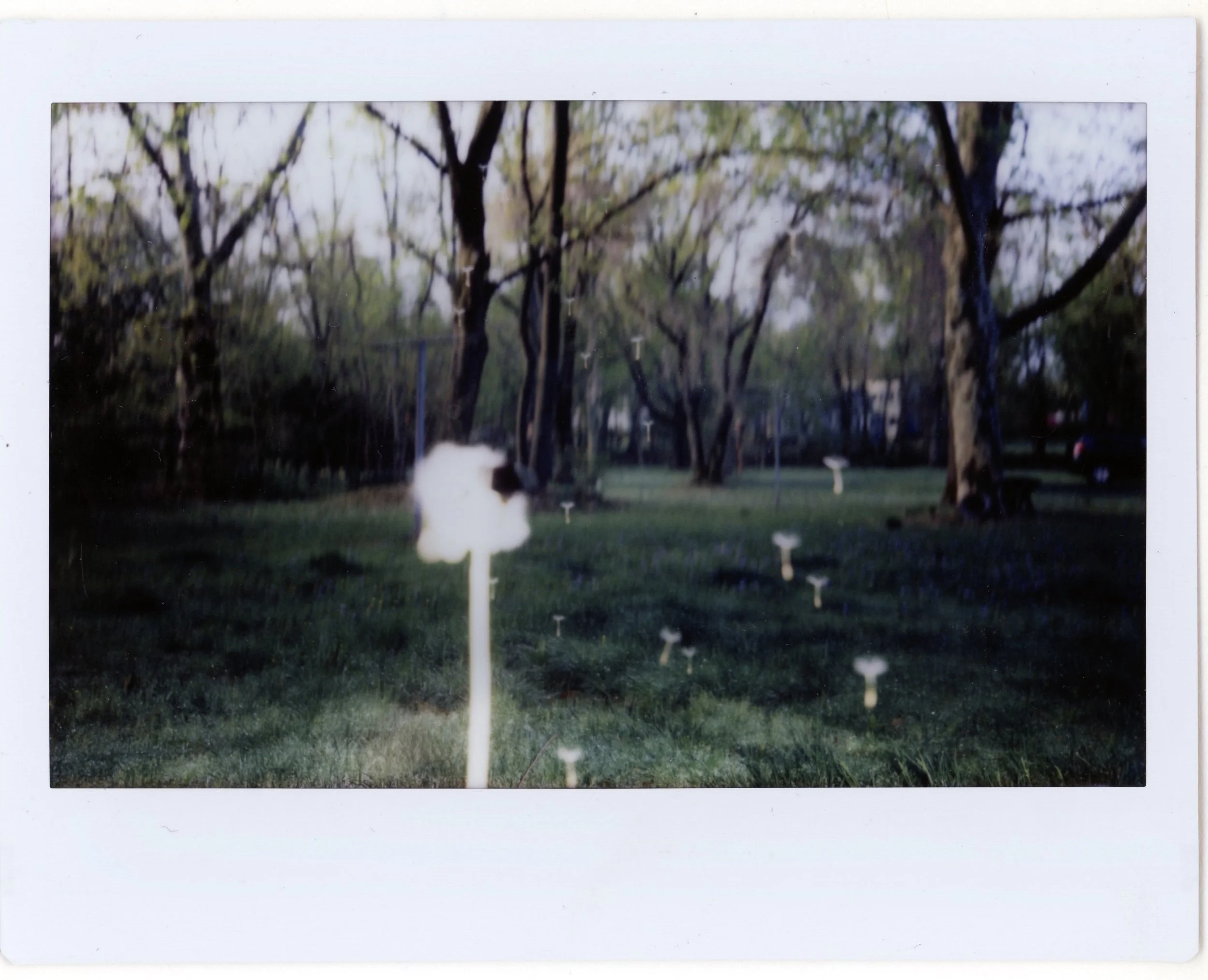 New Jersey