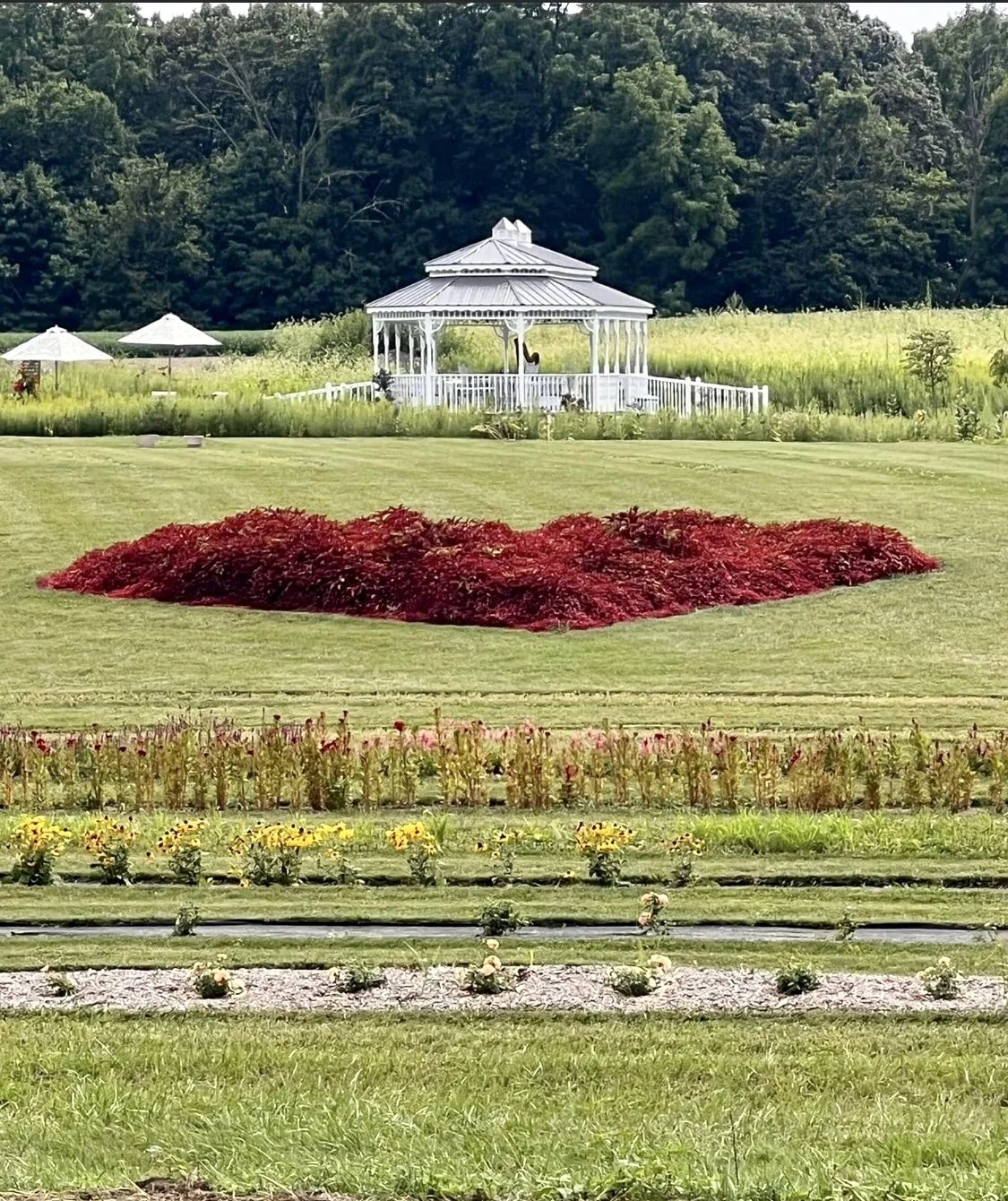 Services 1 — Modoc Gardens