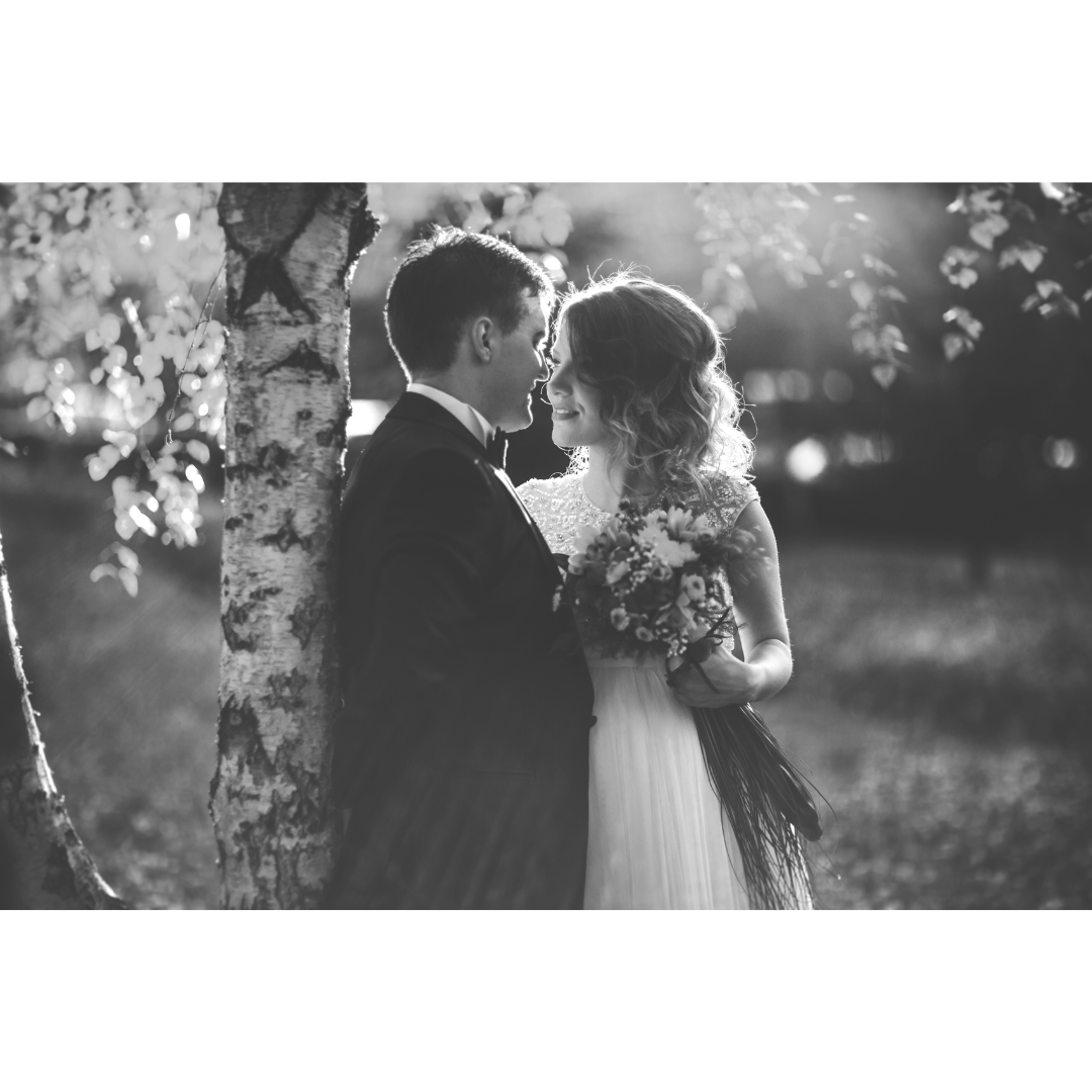 General 2 — Modoc Gardens