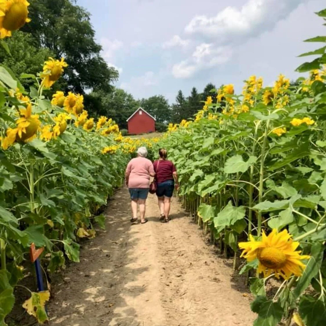 Plan a Visit — Modoc Gardens