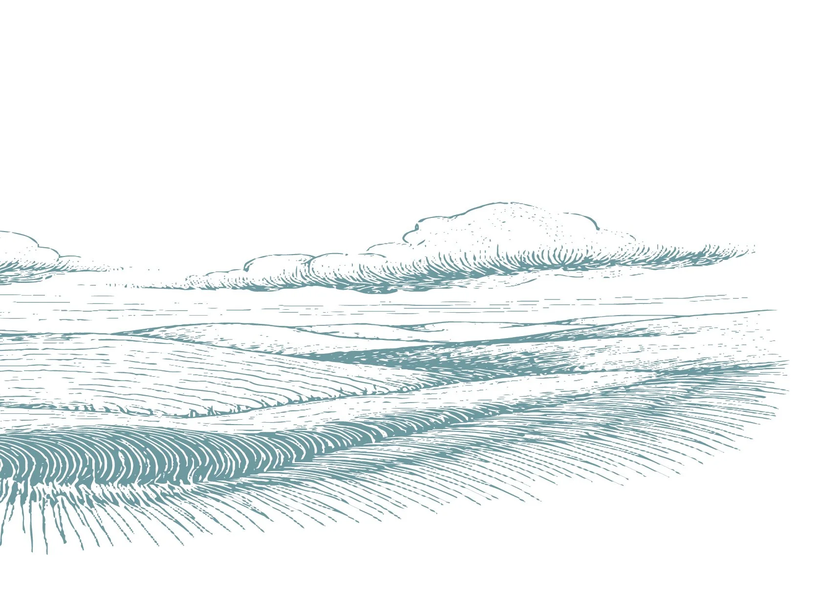 Carlow arts plan timeline sction 2_2@2x-100.jpg