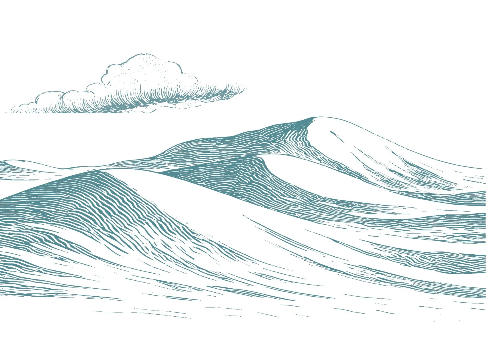 Carlow arts plan timeline sction 2_22@2x-100.jpg