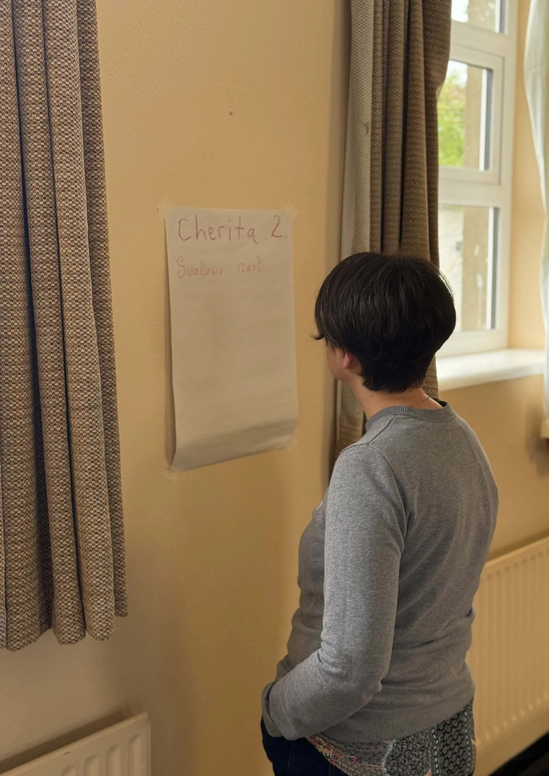 sibling book screen pages_Page_11.jpg