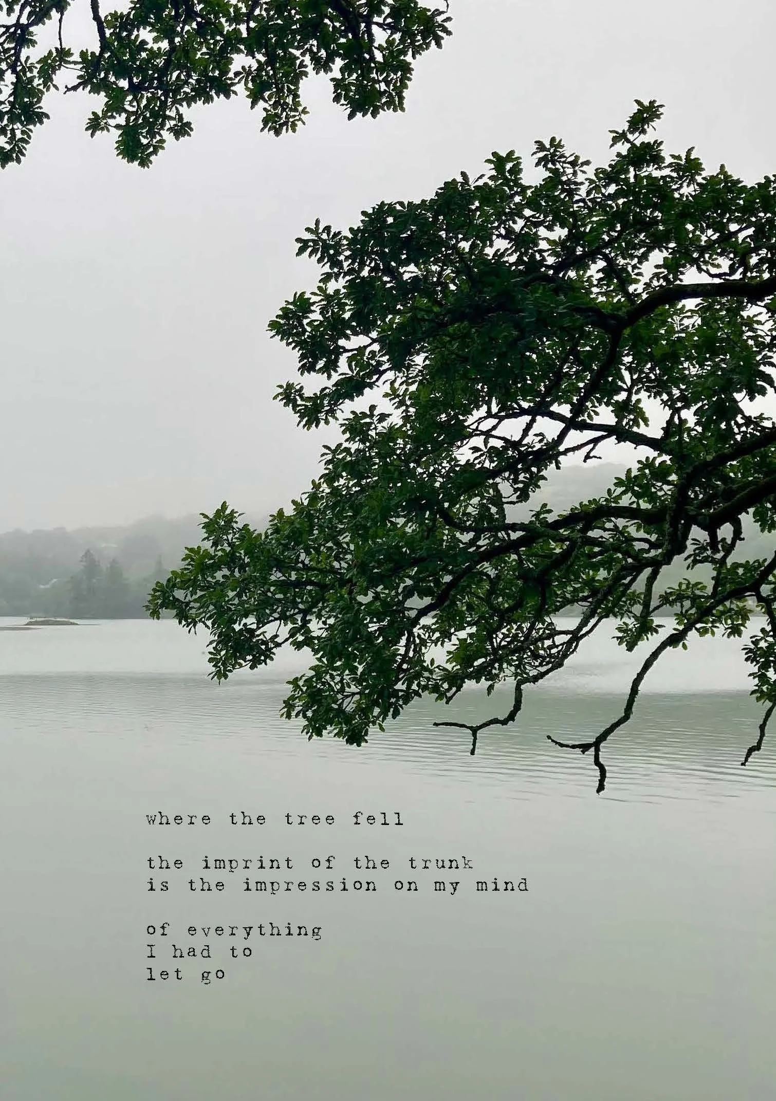 sibling book screen pages_Page_13.jpg