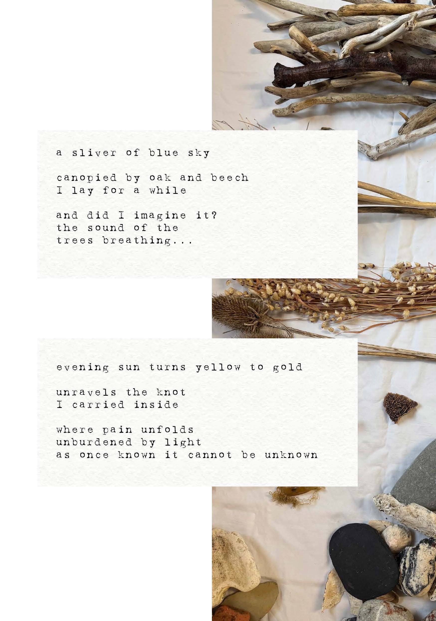 sibling book screen pages_Page_14.jpg