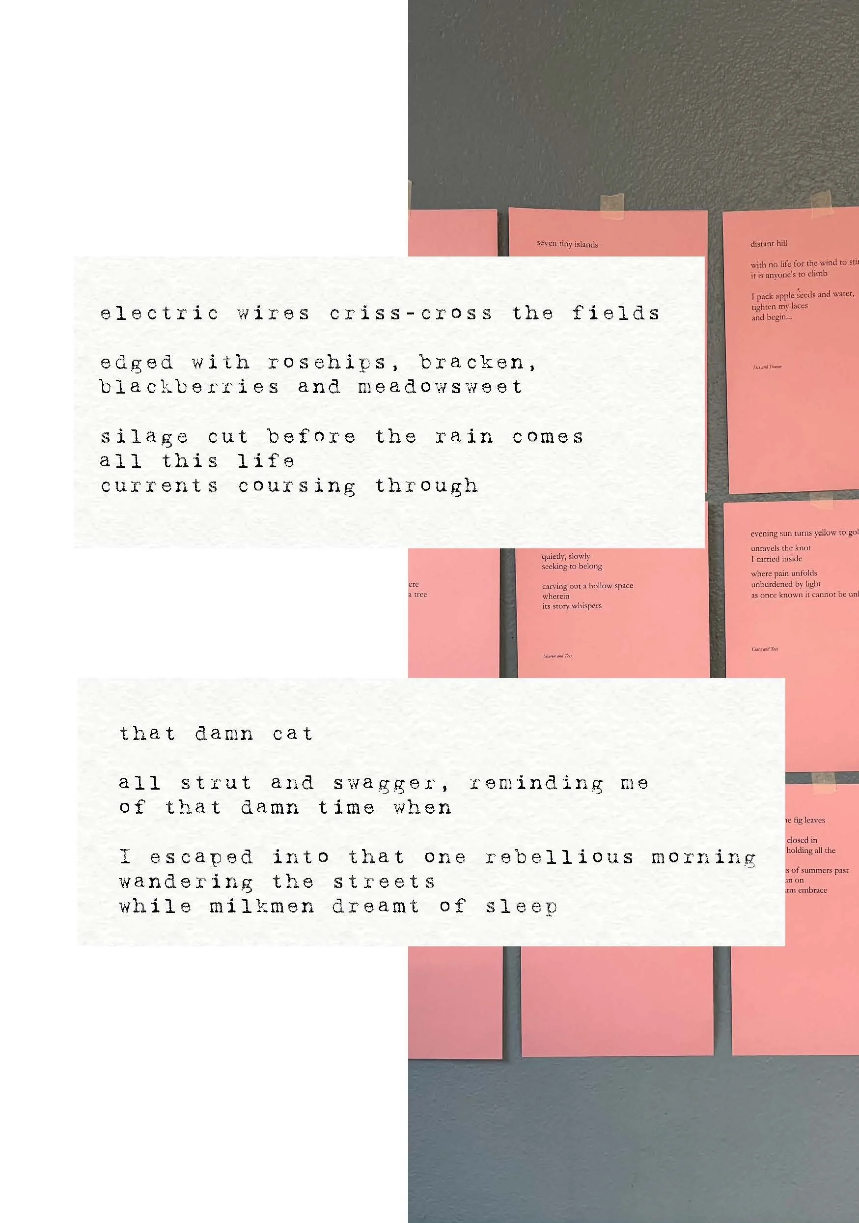 sibling book screen pages_Page_15.jpg