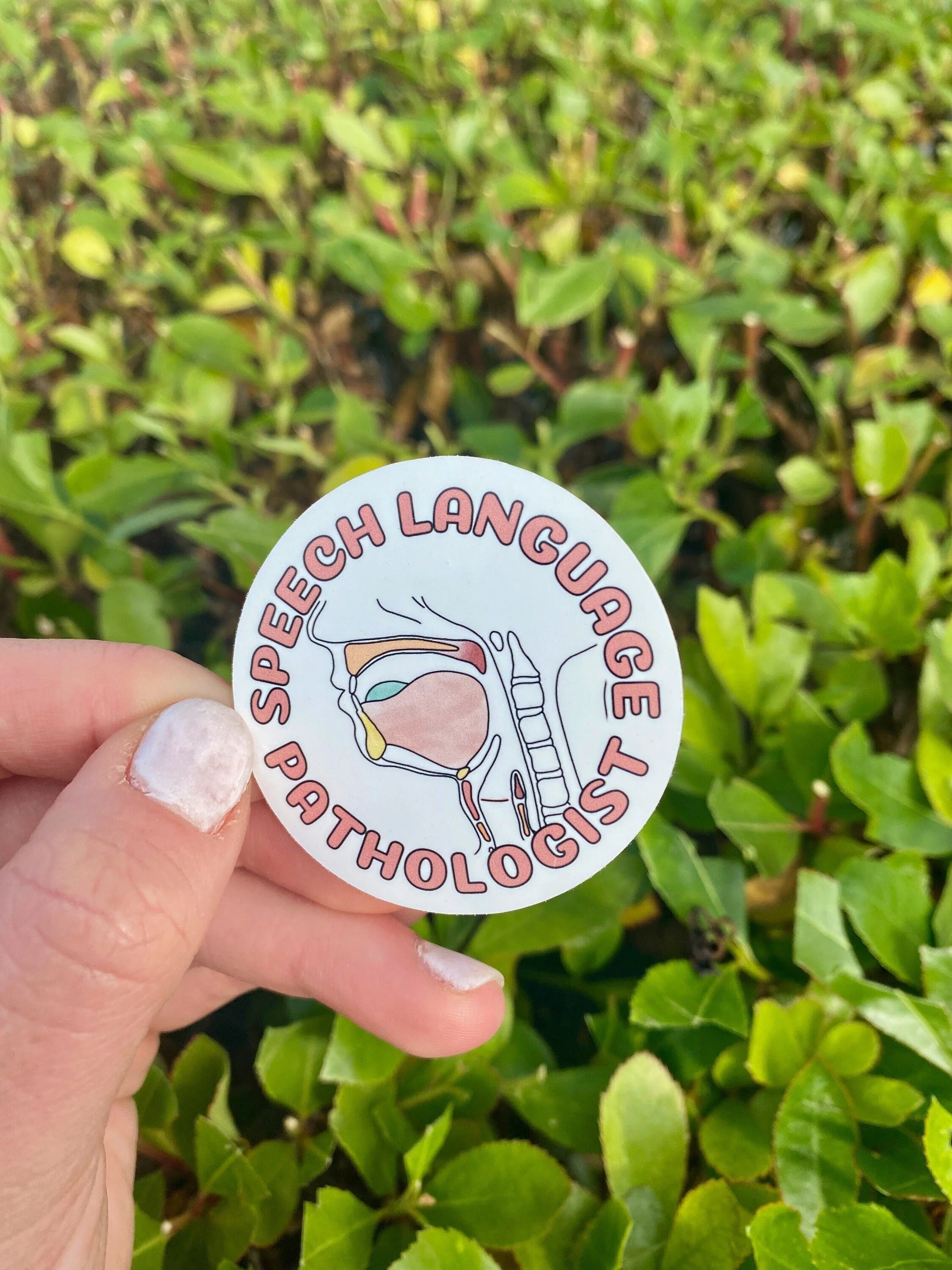 SLP Speech Language Pathology Swallowing Anatomy 2" Round Decal Sticker