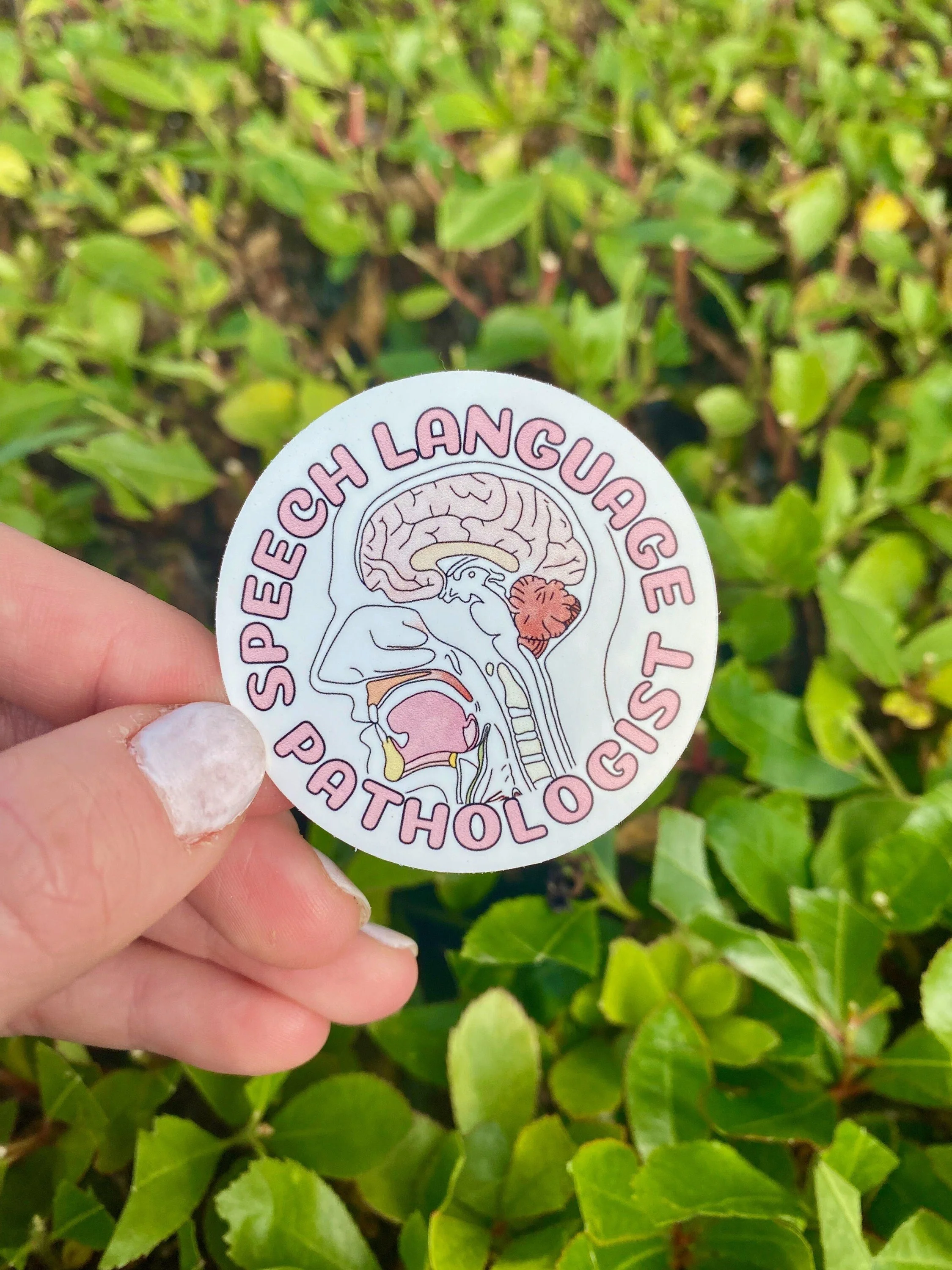 SLP Speech Language Pathology Neuro Anatomy  2" Round Decal Sticker