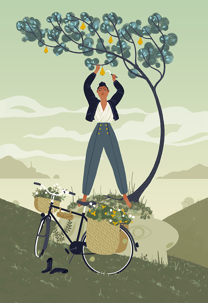 herb collector