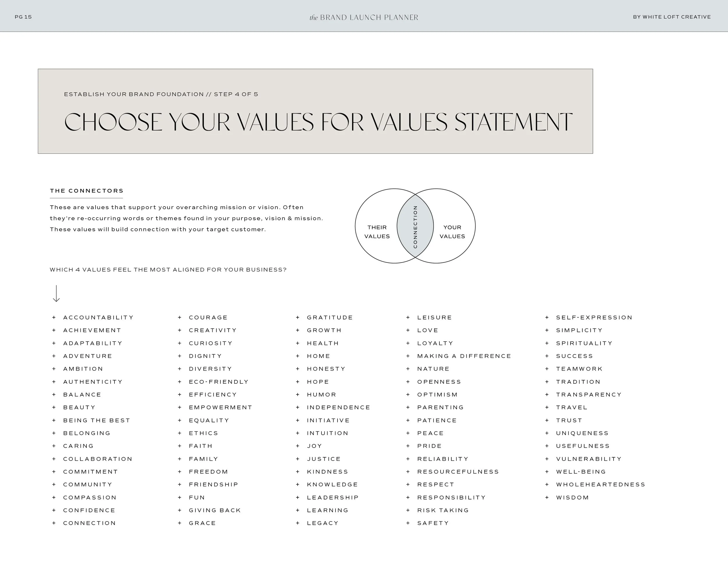 BrandLaunchPlanner2-Values.jpg