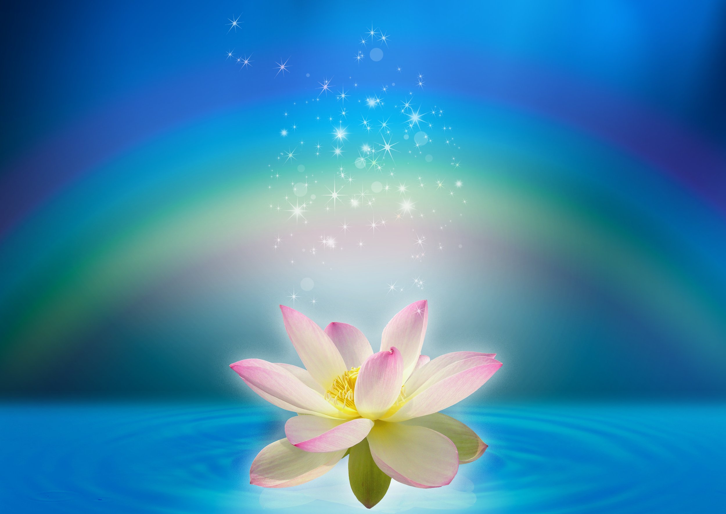 Magnified Healing: Seminario-Taller Presencial